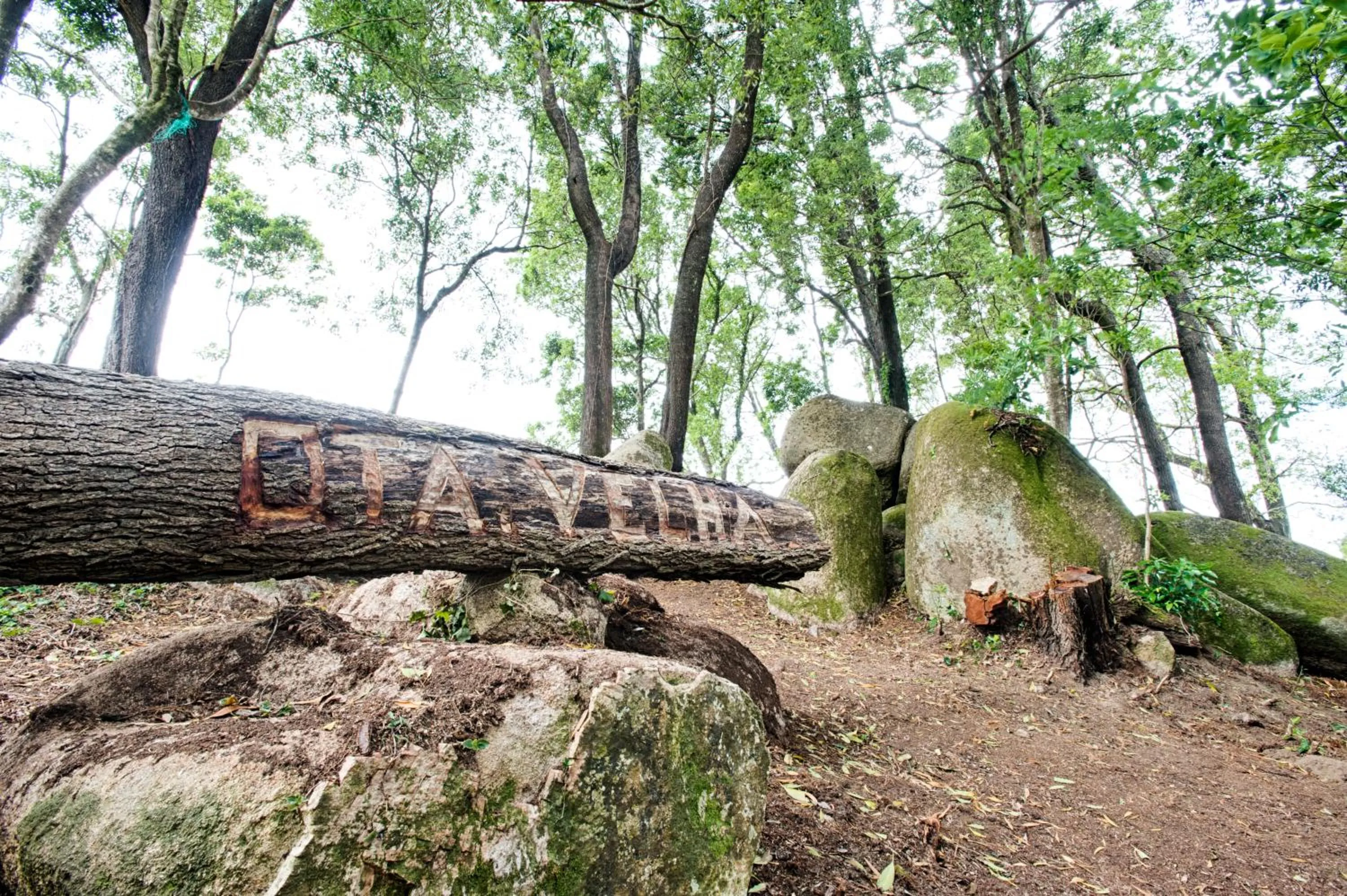 Garden in Eighteen21 Houses - Quinta Velha