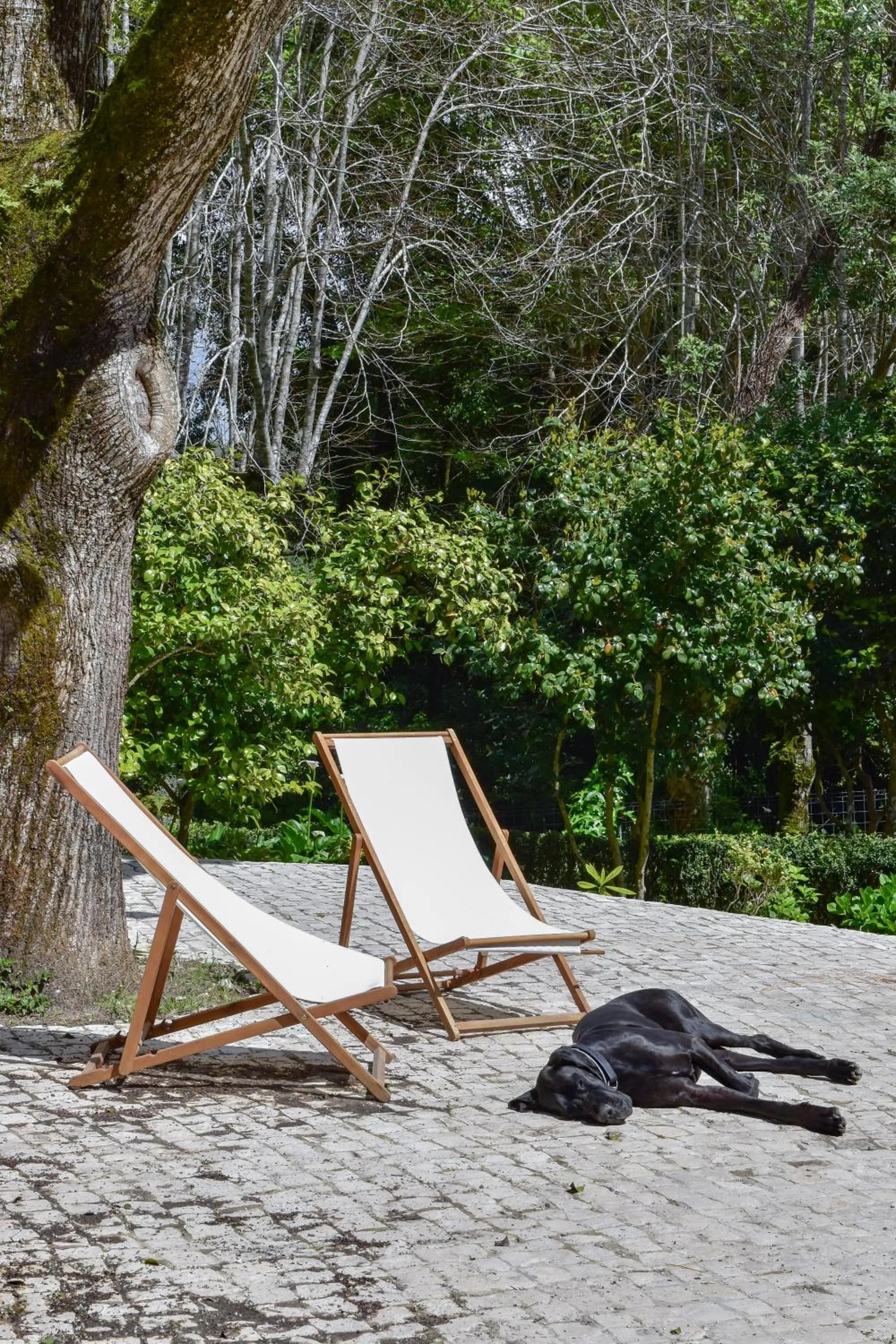 Garden in Eighteen21 Houses - Quinta Velha