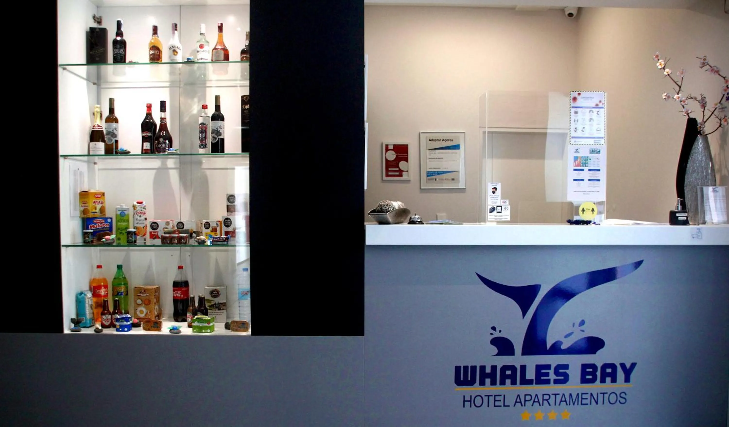 Lobby or reception in Whalesbay Hotel Apartamentos