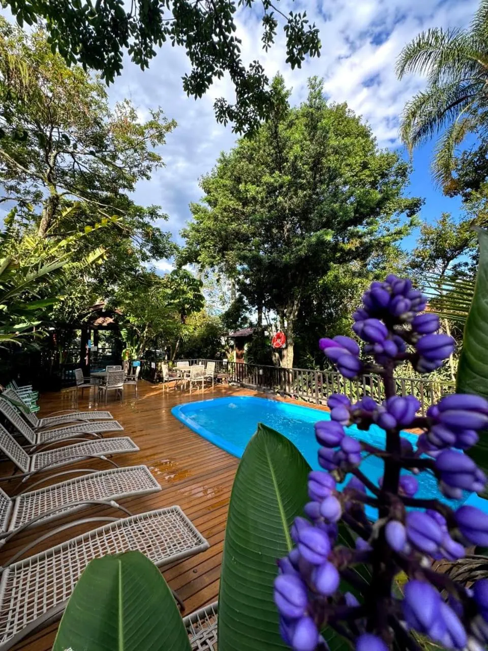 Garden view in Hotel Natur Campeche