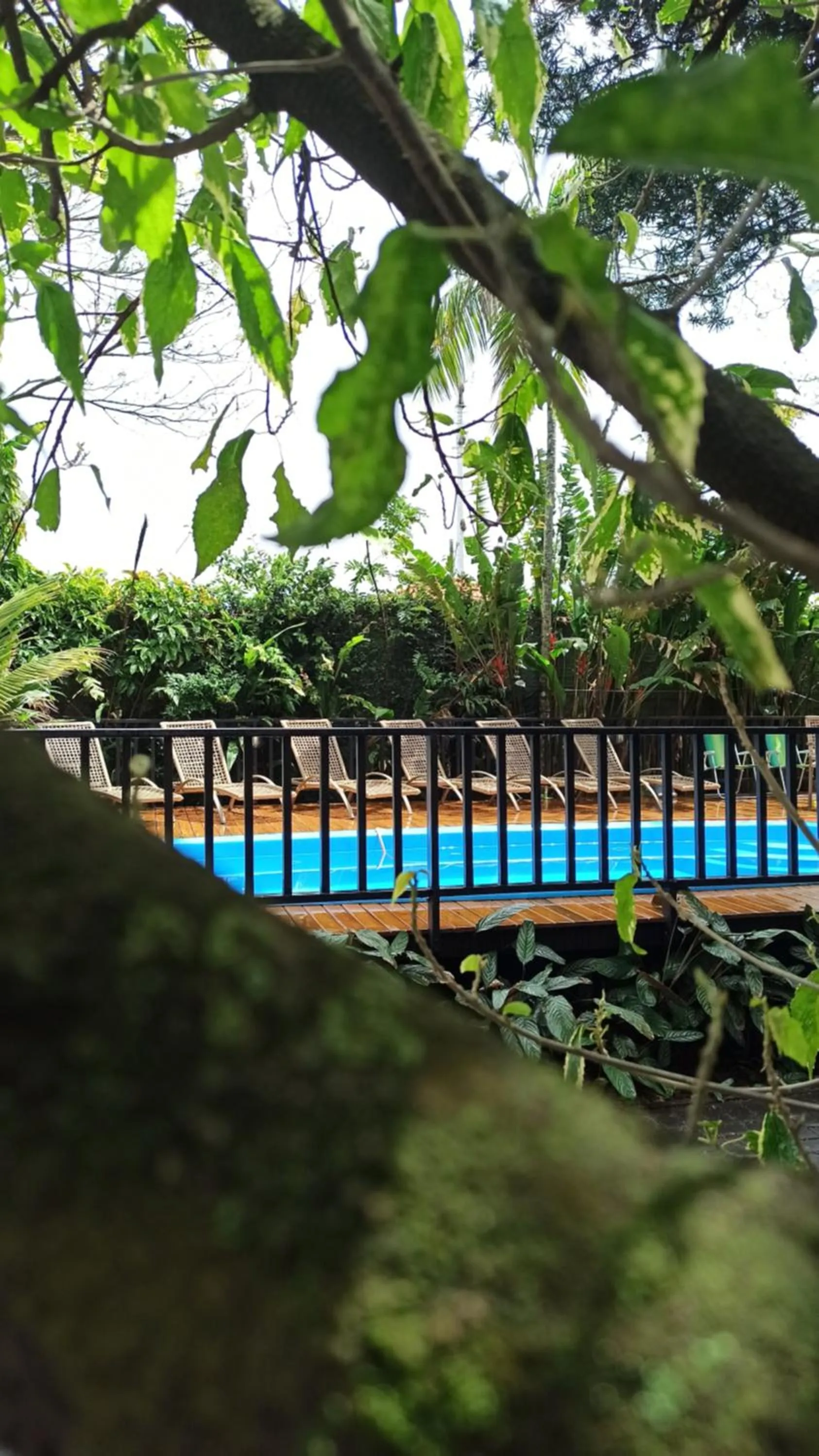 Hotel Natur Campeche