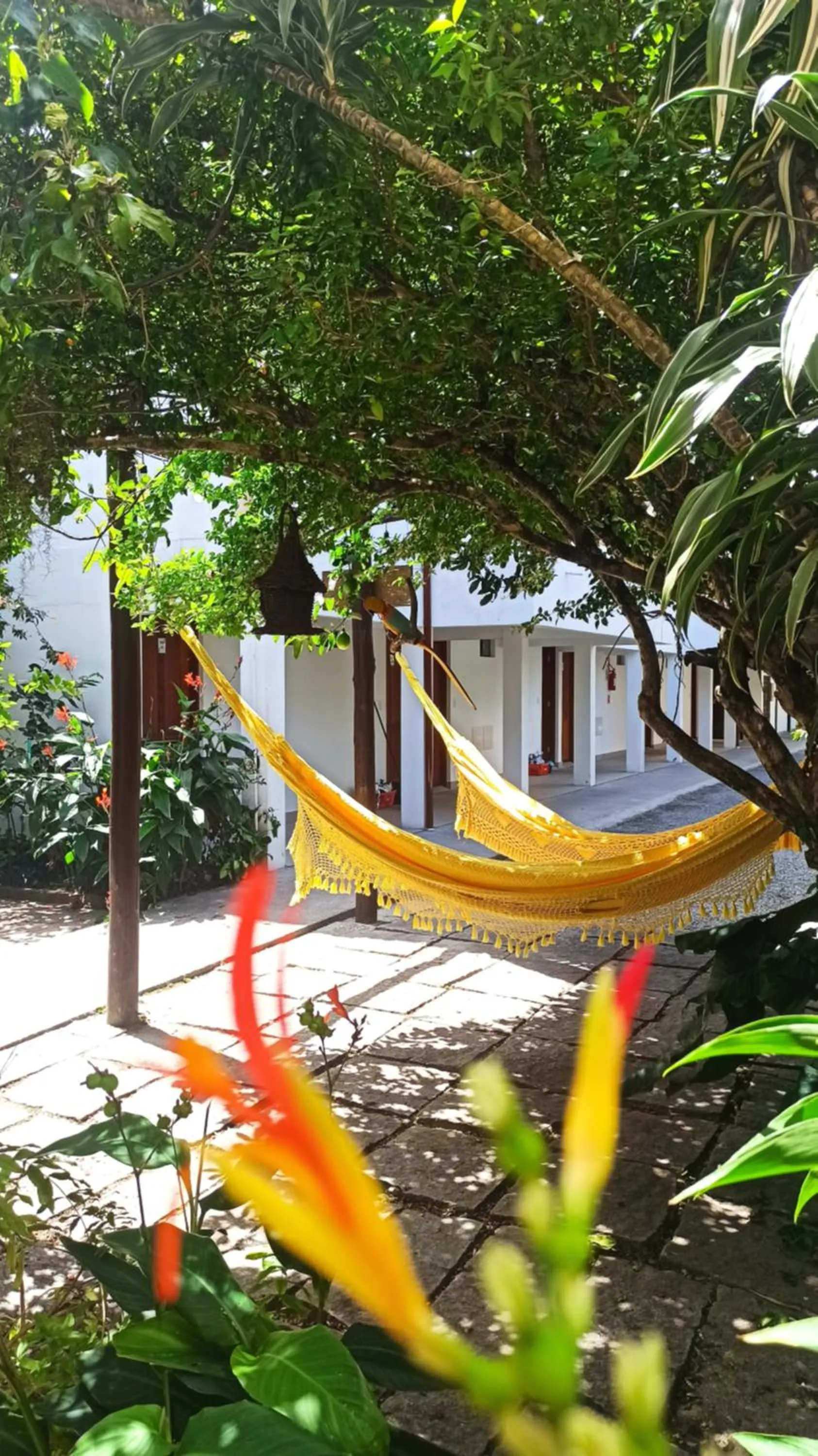 Hotel Natur Campeche