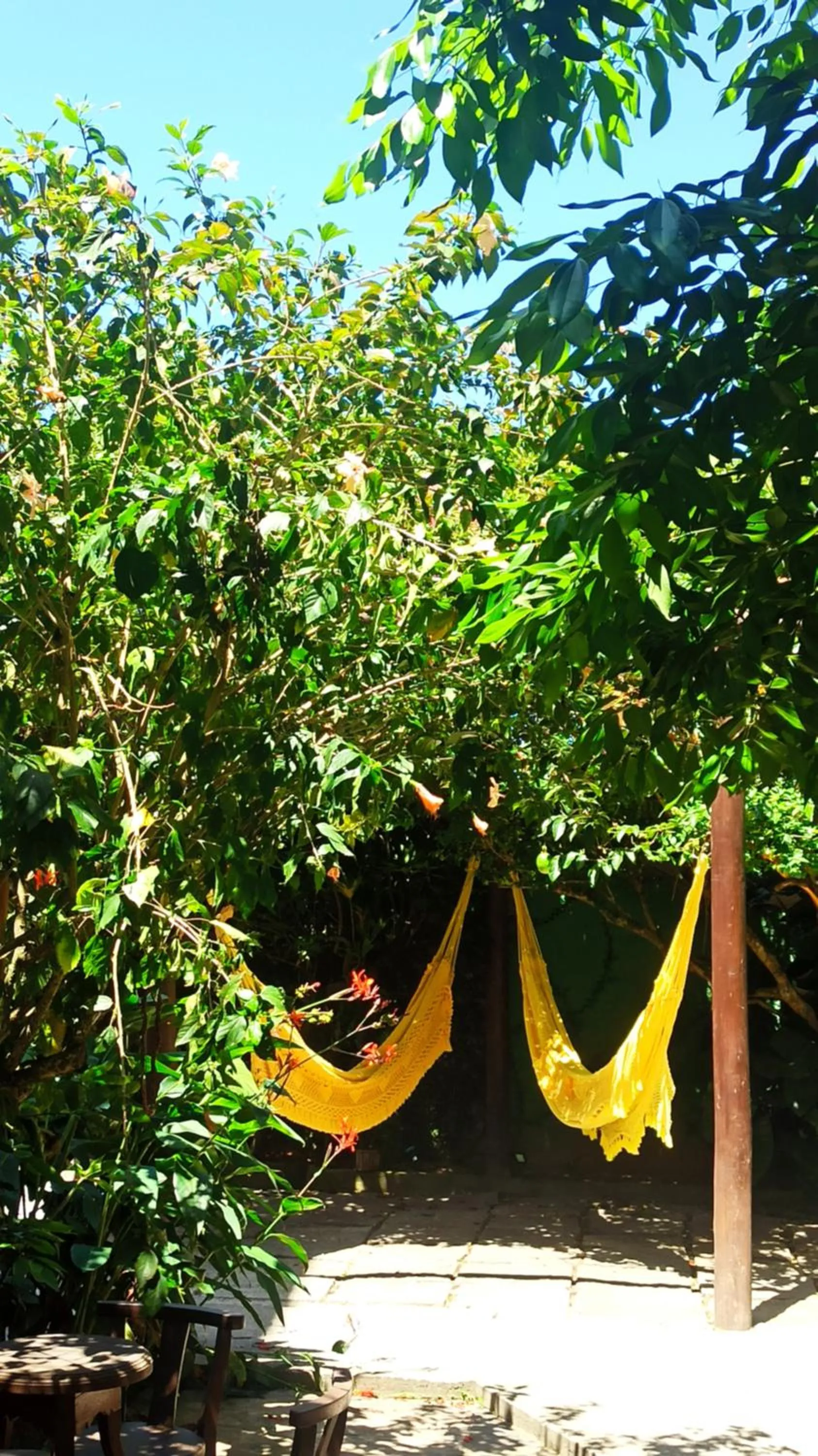 Hotel Natur Campeche