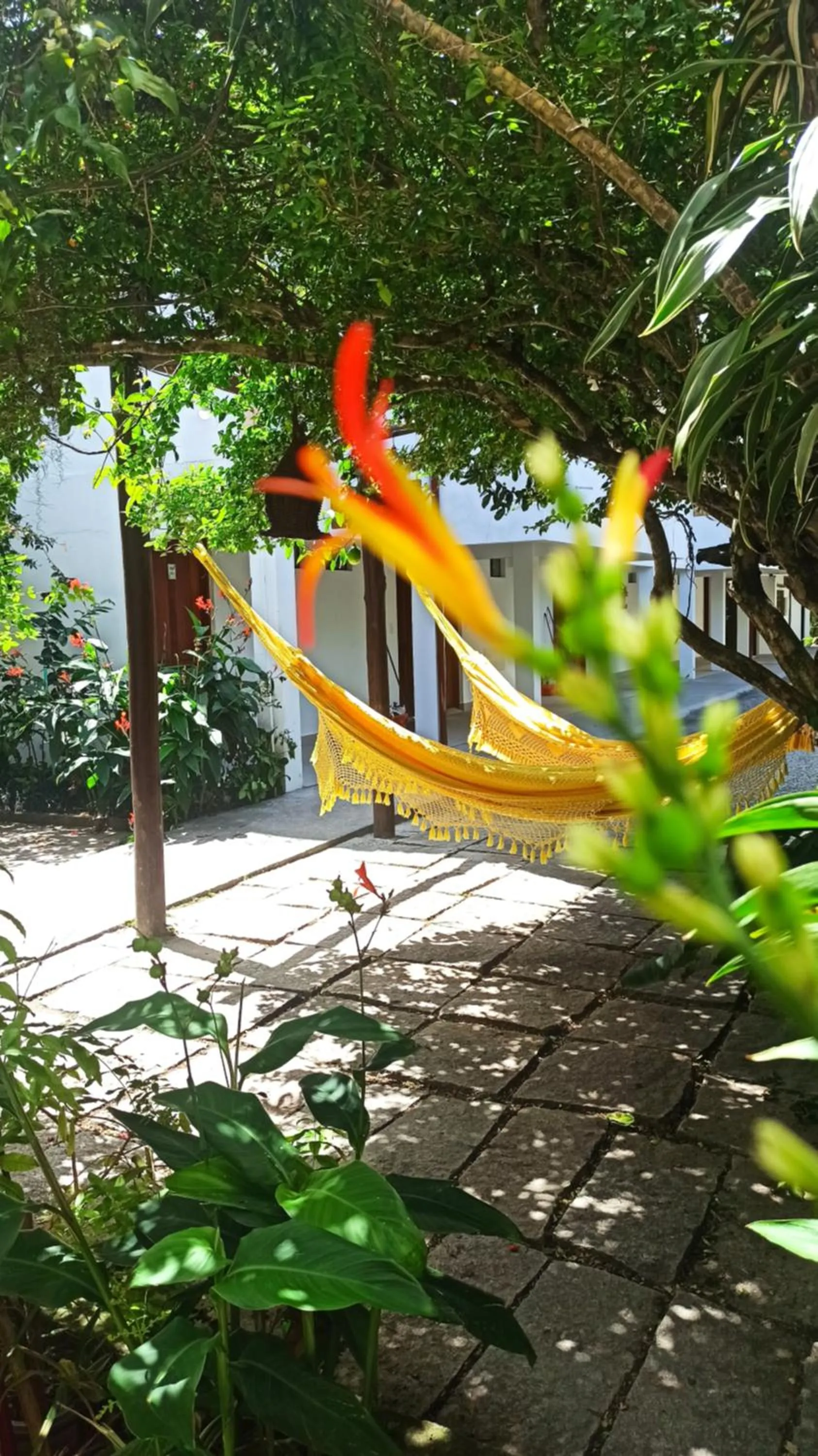 Garden in Hotel Natur Campeche
