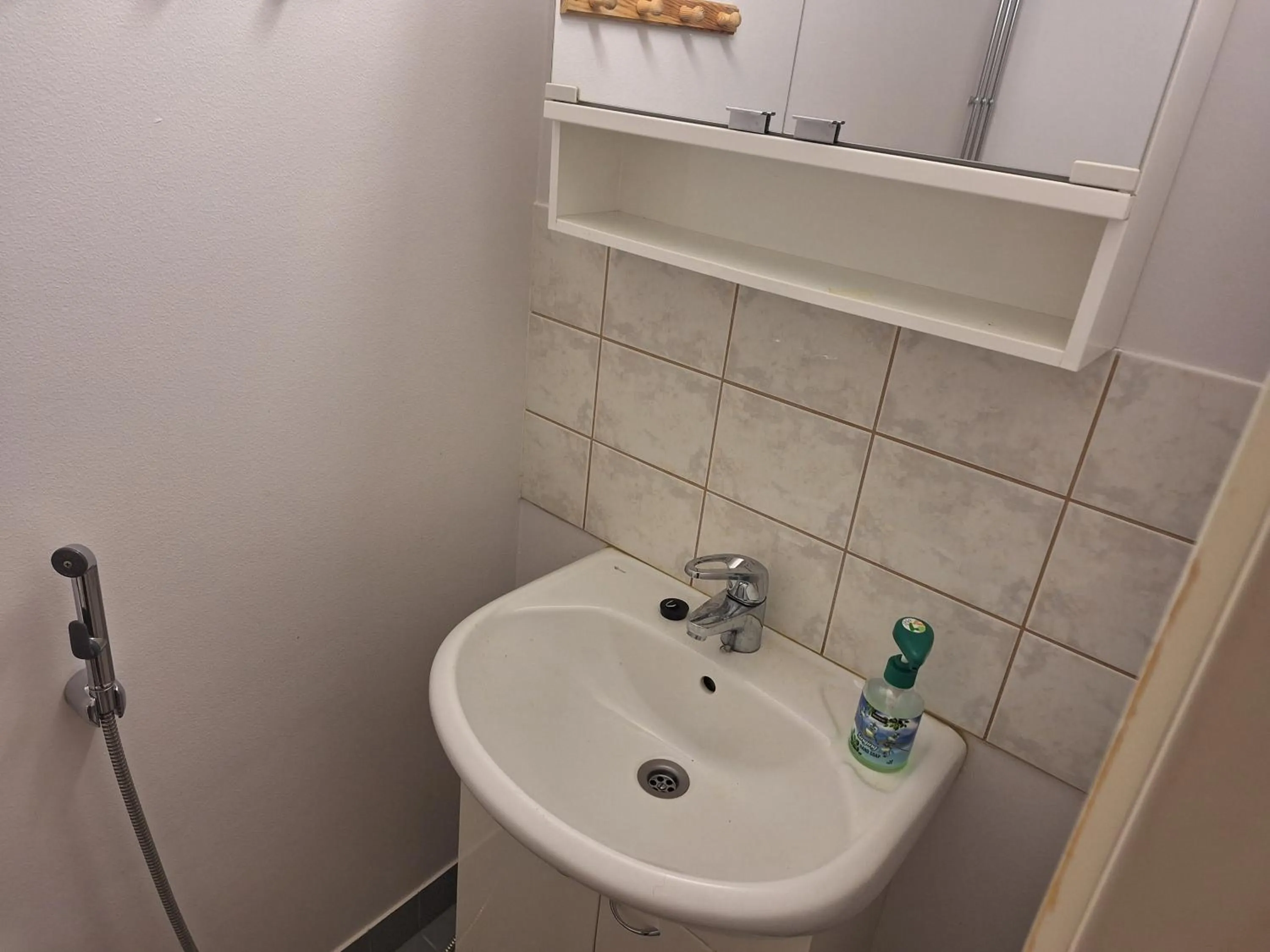 Toilet in Hotelli Pogostan Hovi