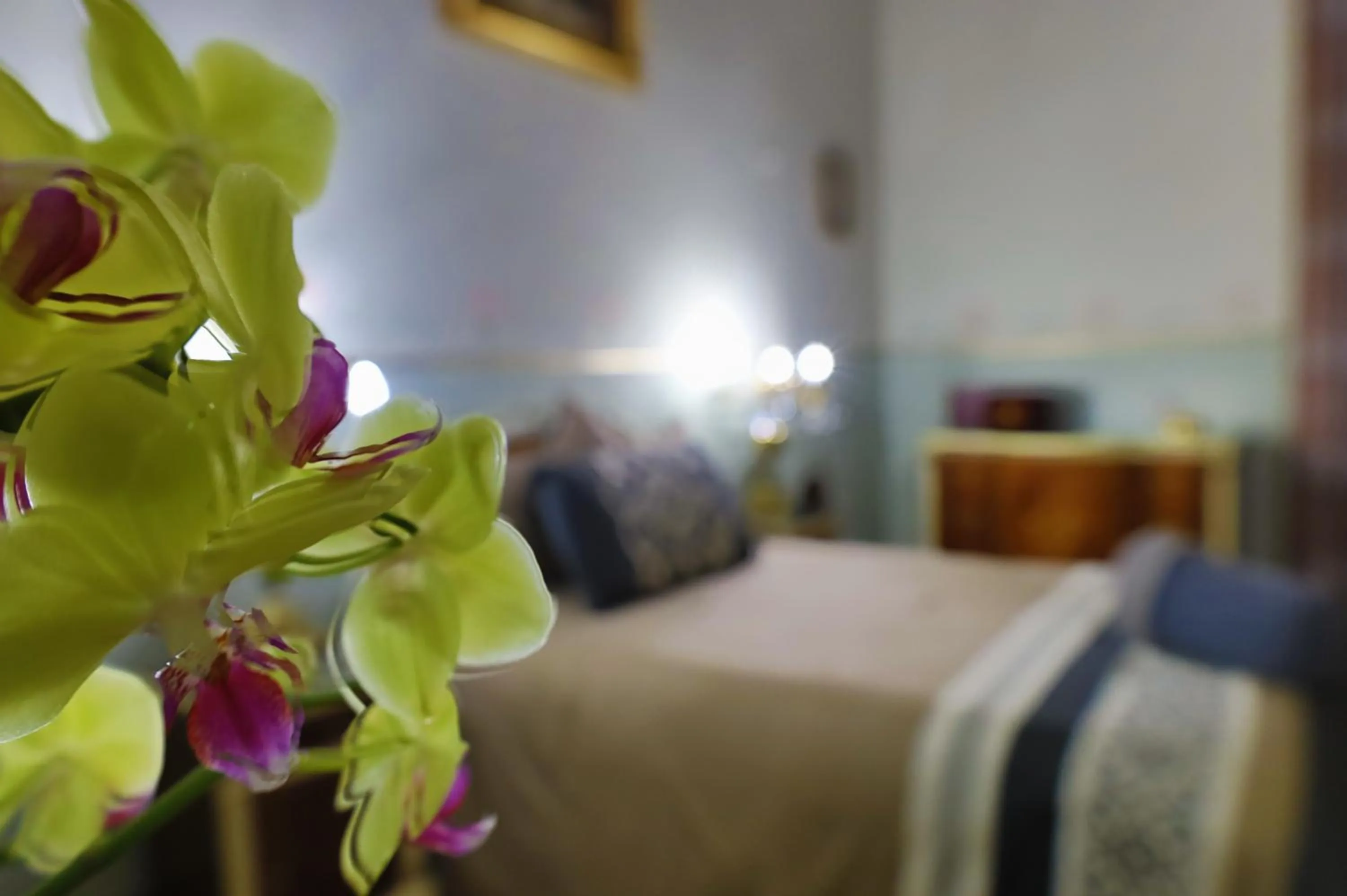 Bed in Azcami Boutique Hotel