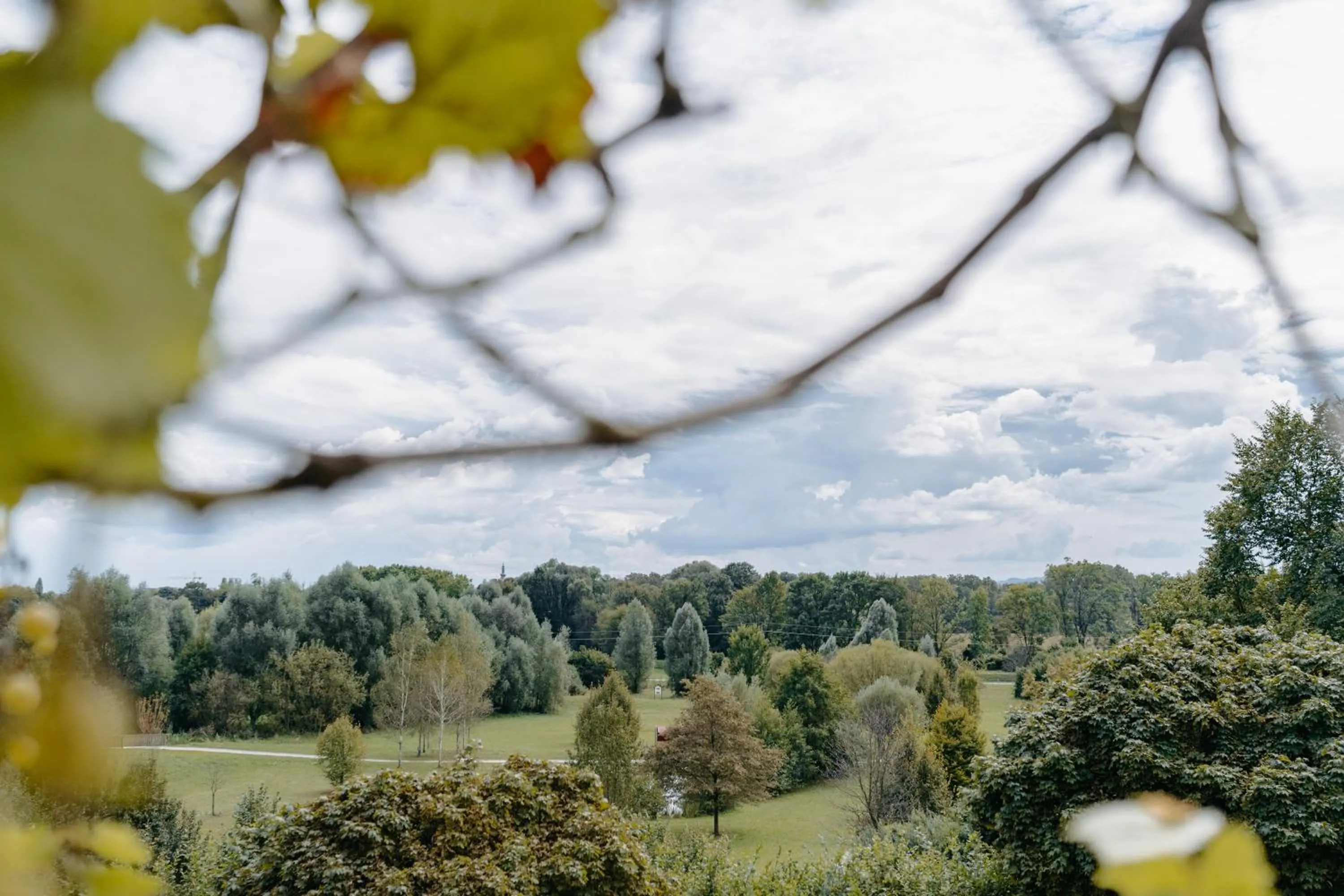 View (from property/room) in Hotel Staribacher Südsteiermark