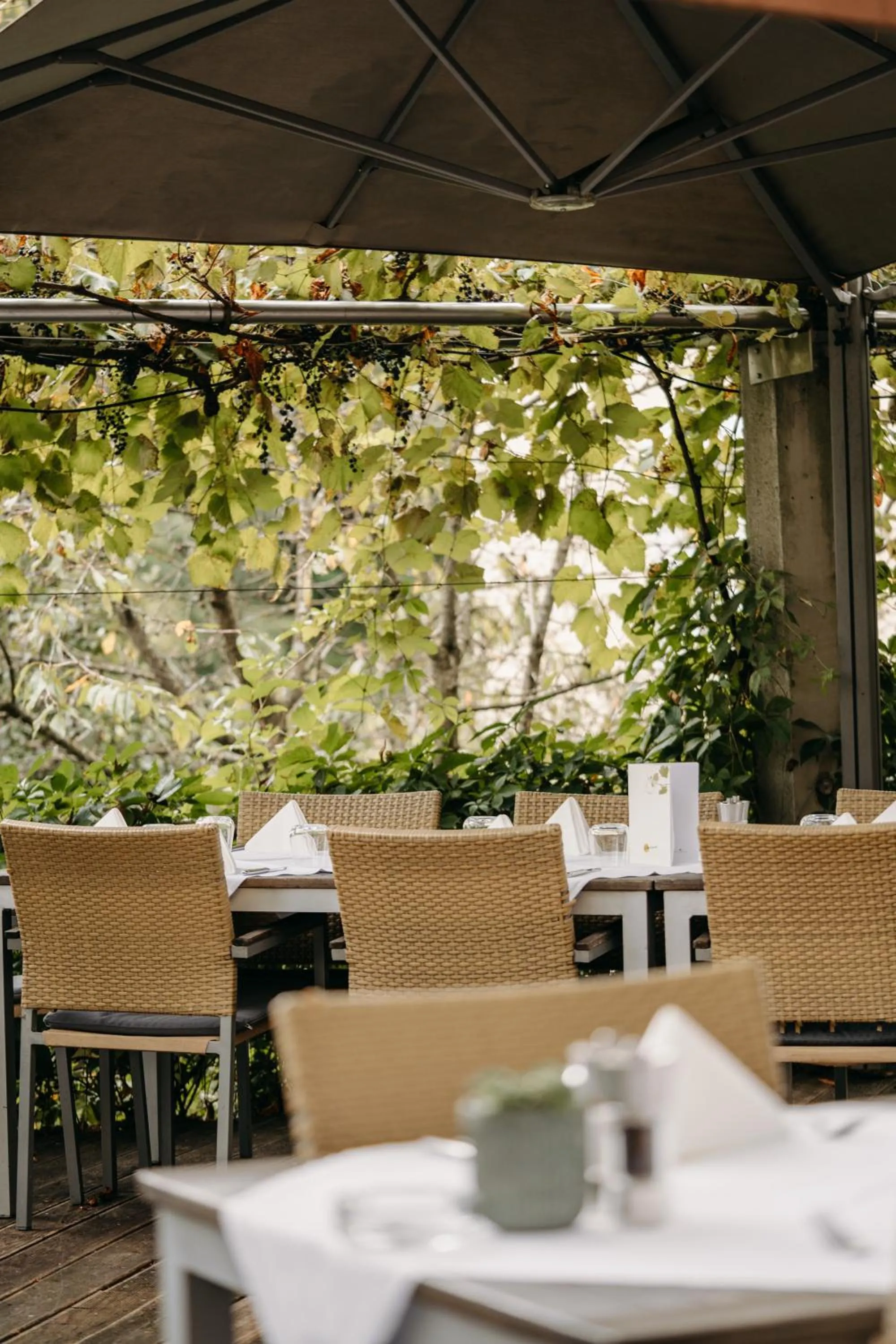 Restaurant/places to eat in Hotel Staribacher Südsteiermark