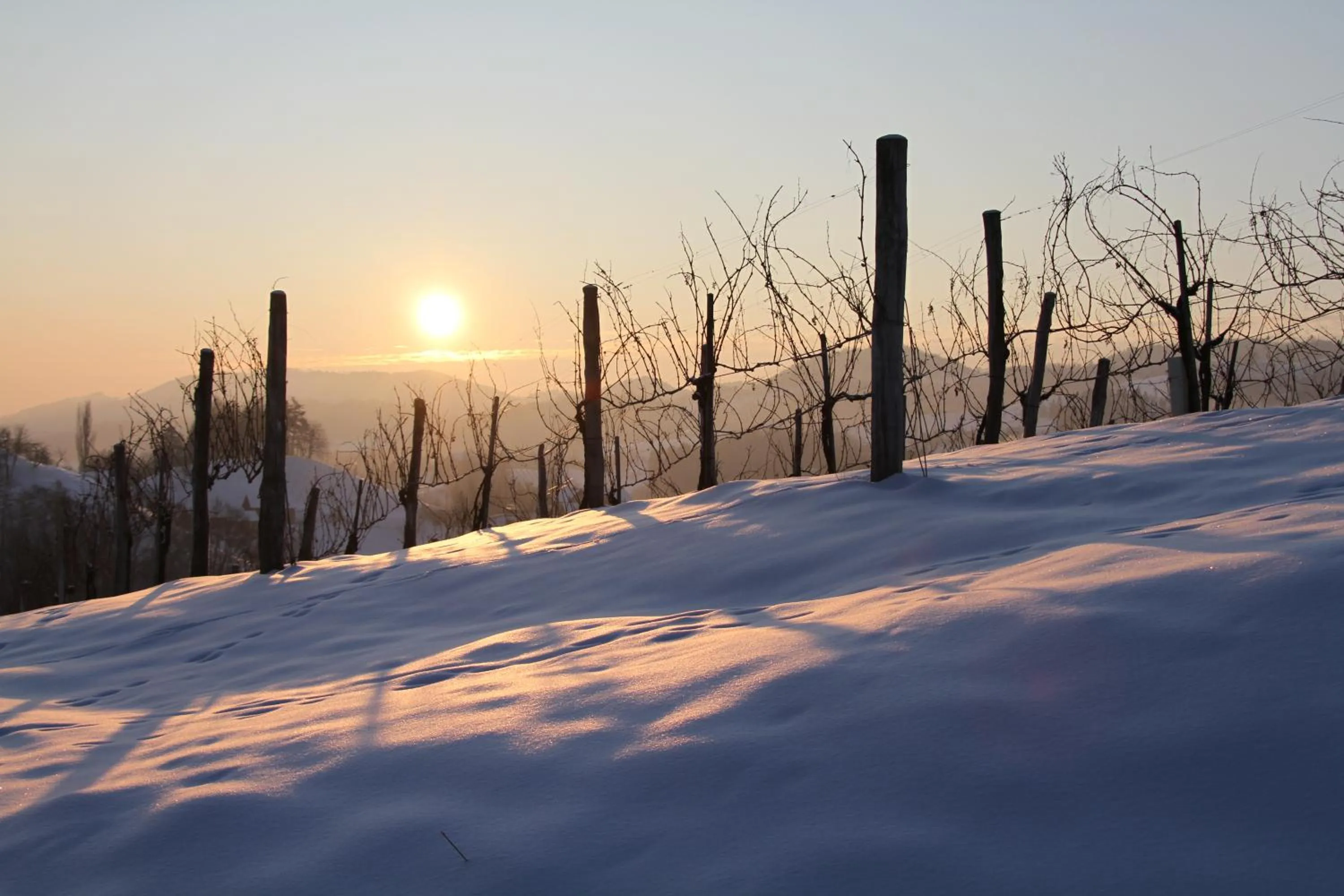 Natural landscape in Hotel Staribacher Südsteiermark