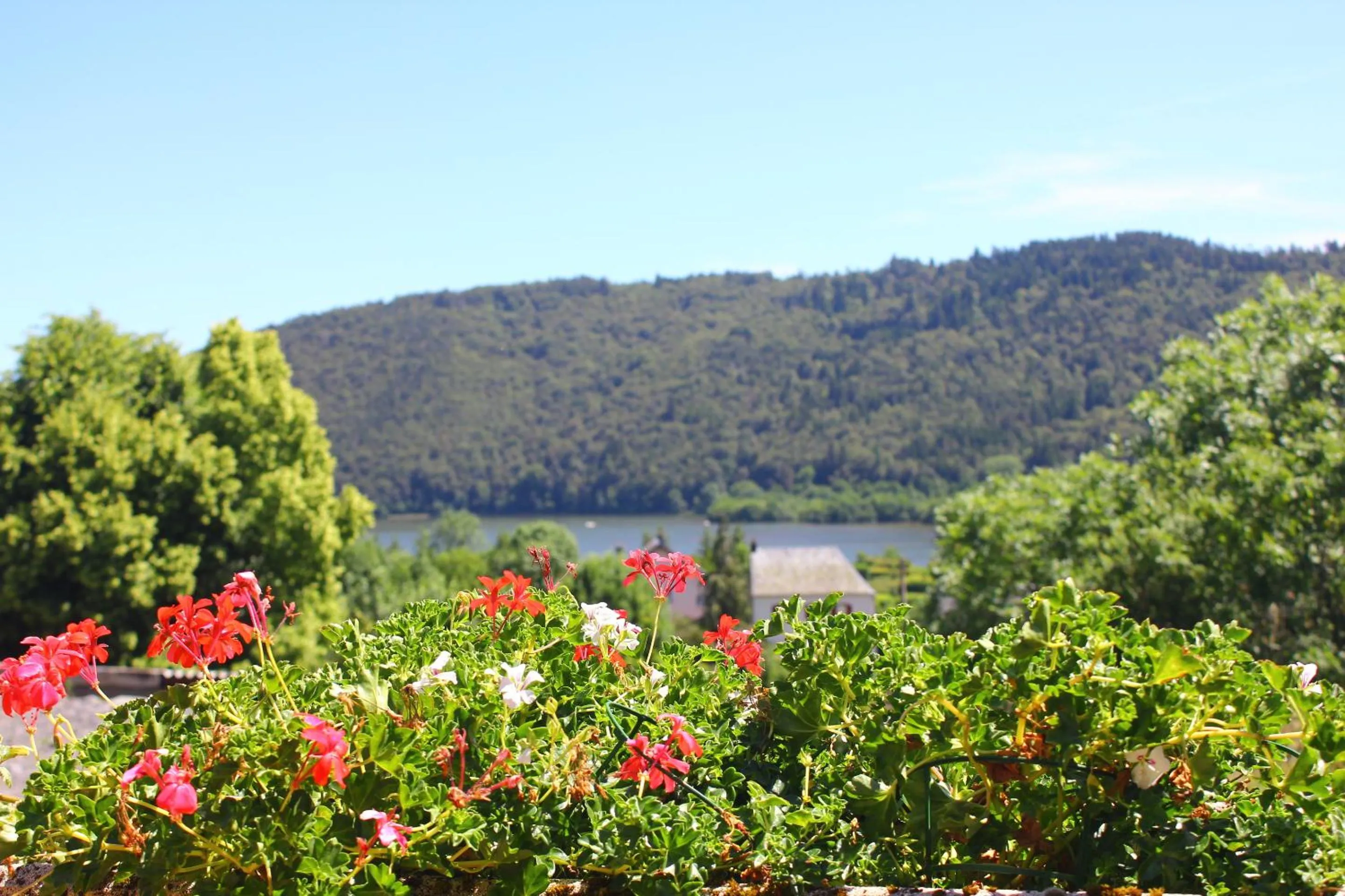 View (from property/room) in Maison de Varennes