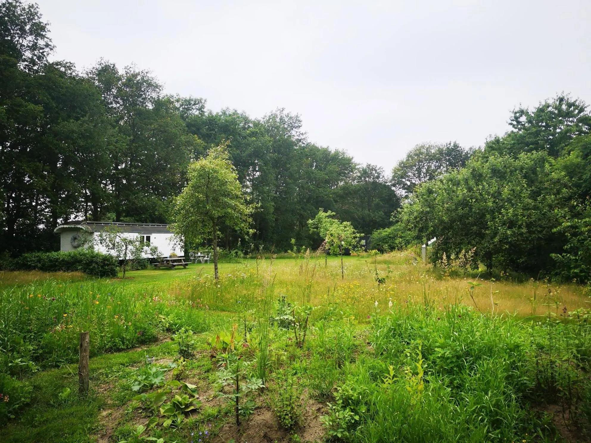 Natural landscape in Bed & Breakfast Markelo