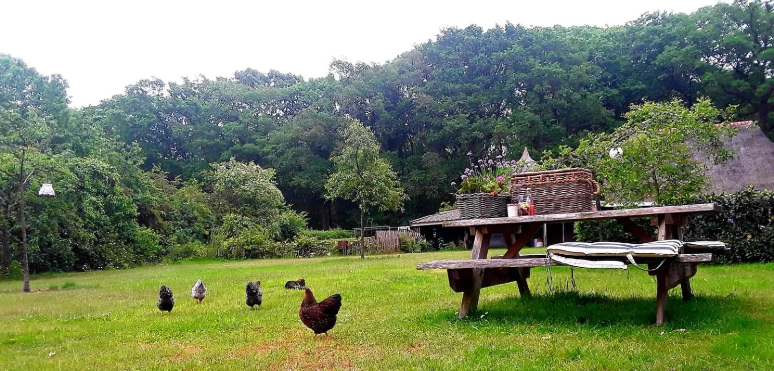 Bed & Breakfast Markelo