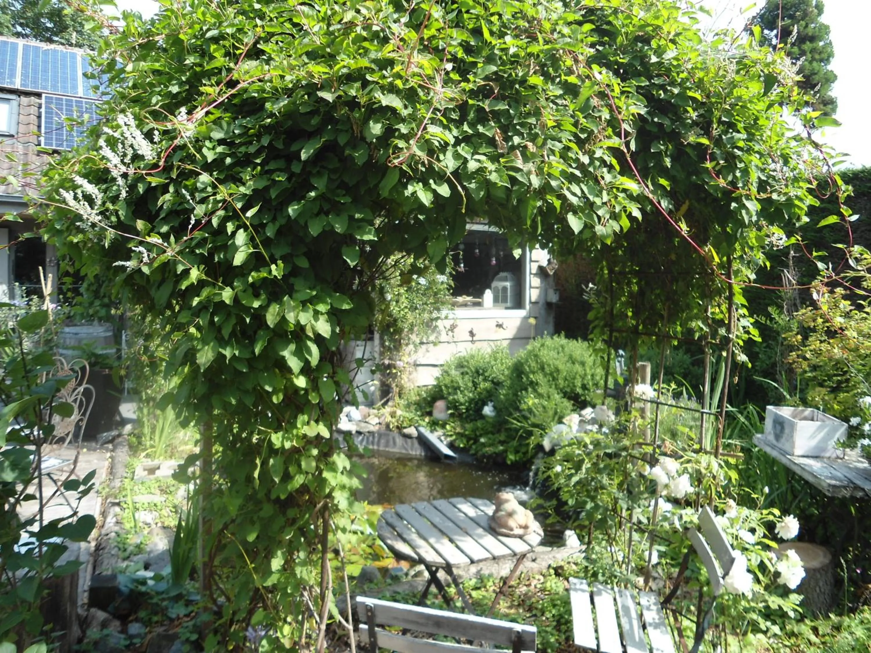 Garden in Passe-Partout