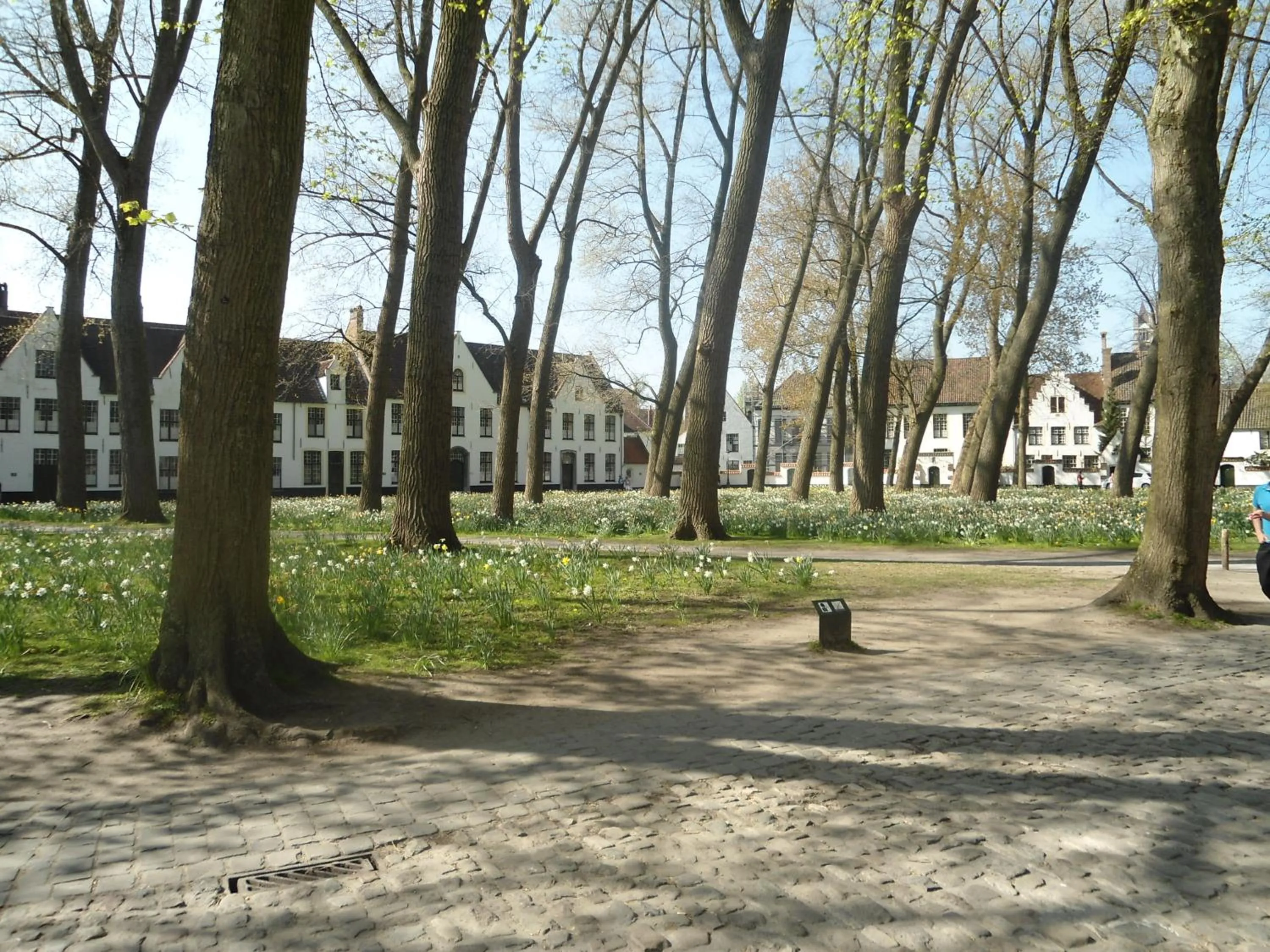 Neighbourhood in Passe-Partout