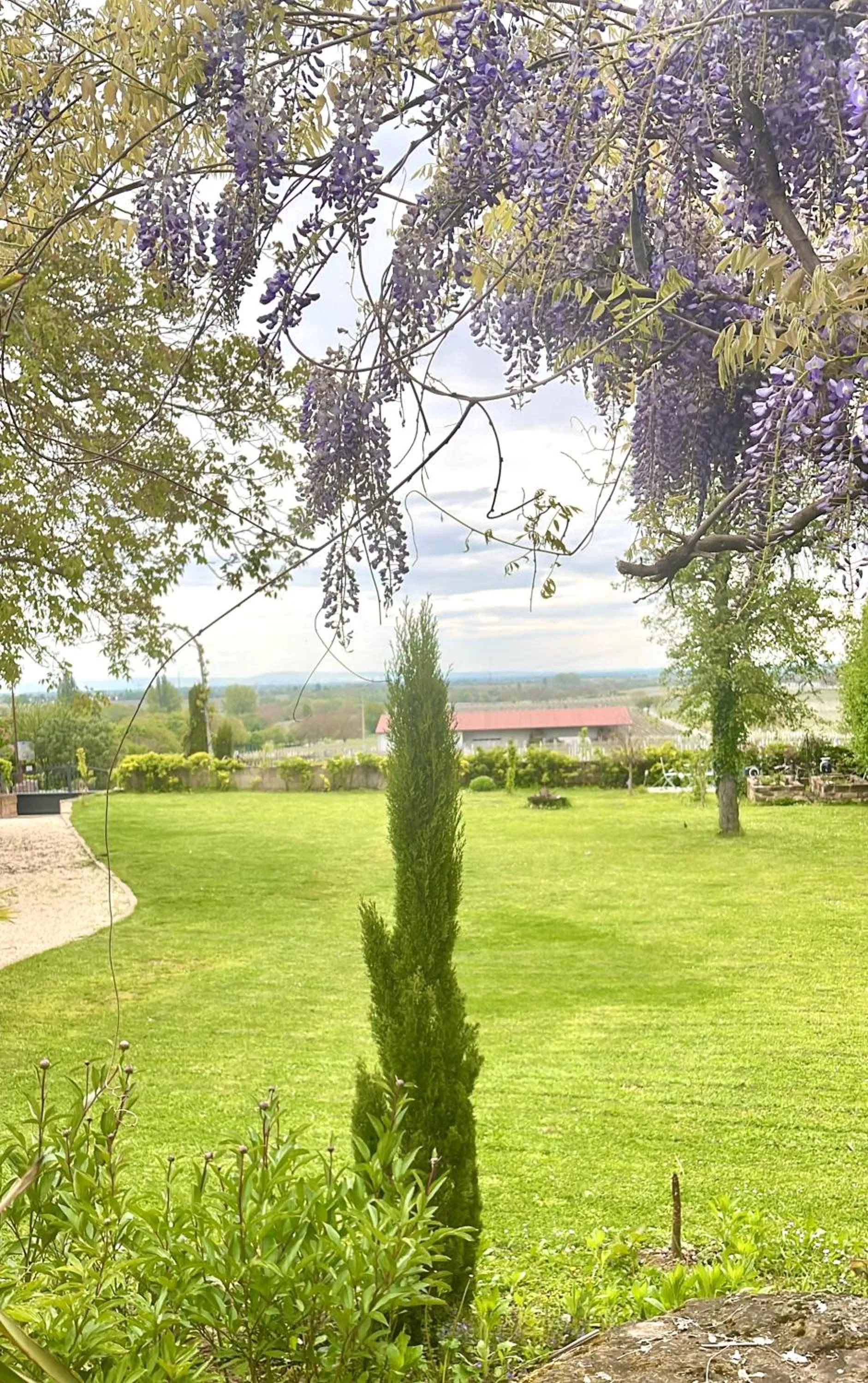 Garden in Villa Delange