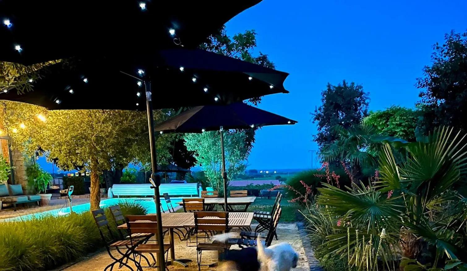 Night in Villa Delange