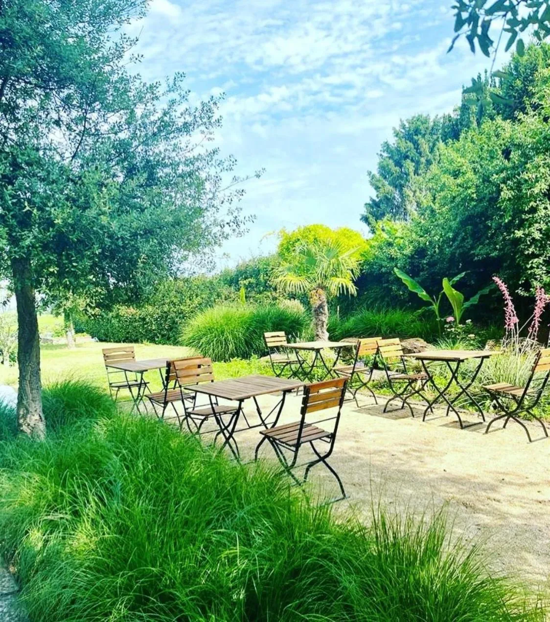 Swimming pool in Villa Delange