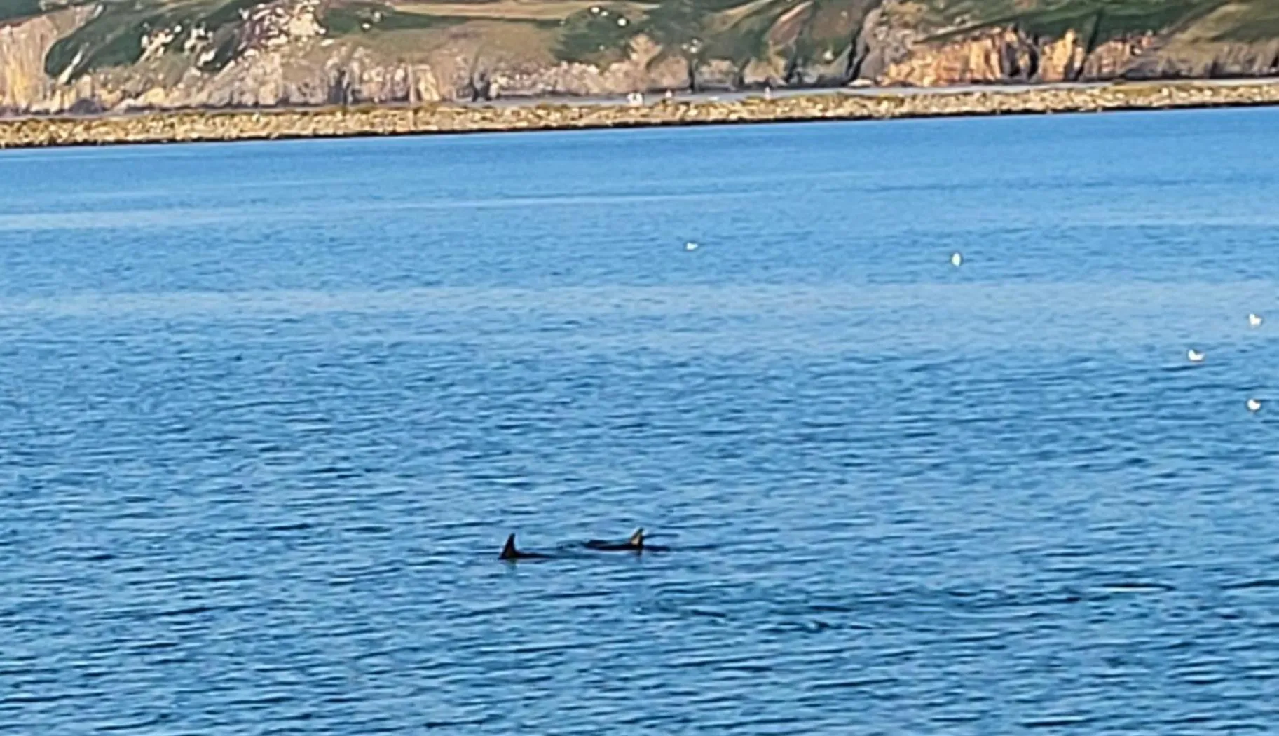 Sea view in Seasidesteps