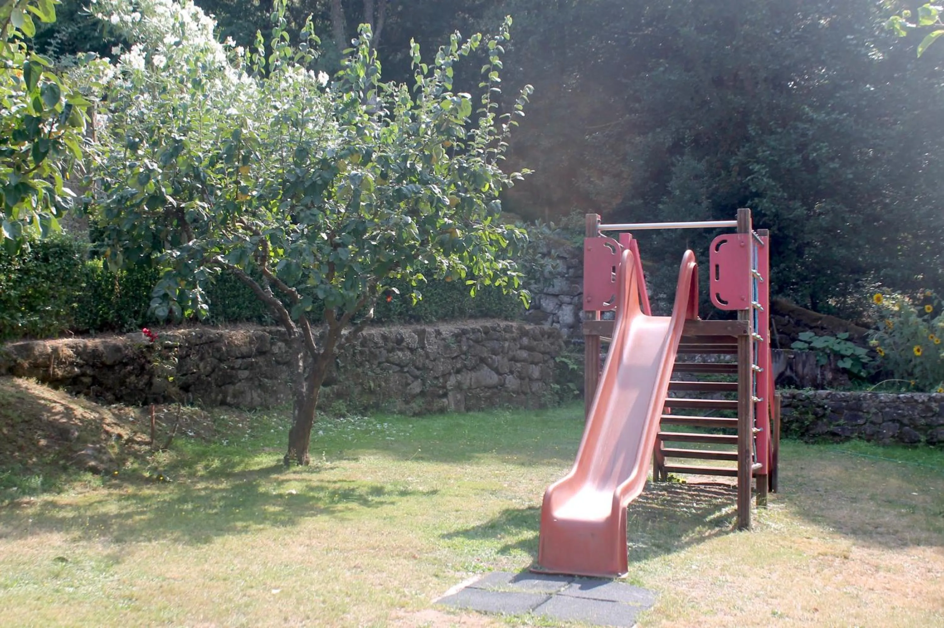 Garden in Quinta da Mata - Turismo de Habitação