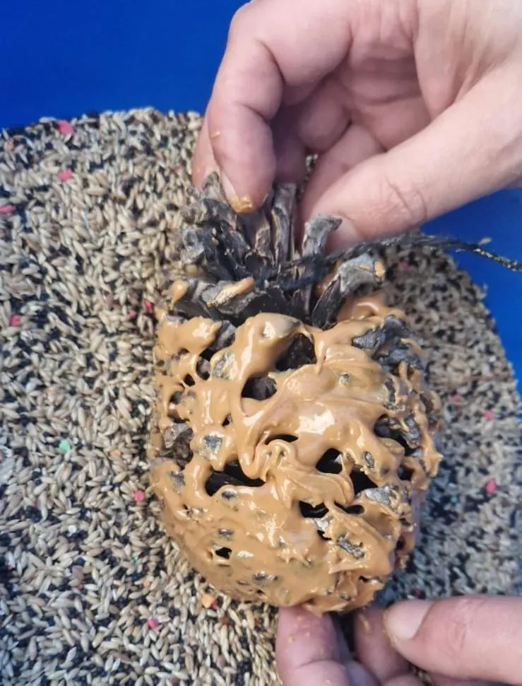 People in Quinta da Mata - Turismo de Habitação