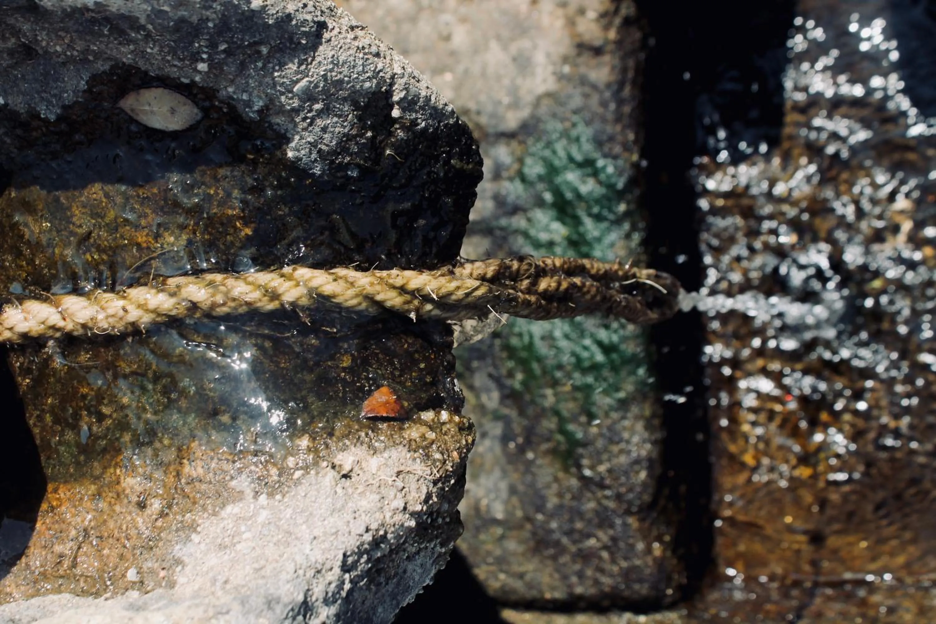 Decorative detail in Quinta da Mata - Turismo de Habitação