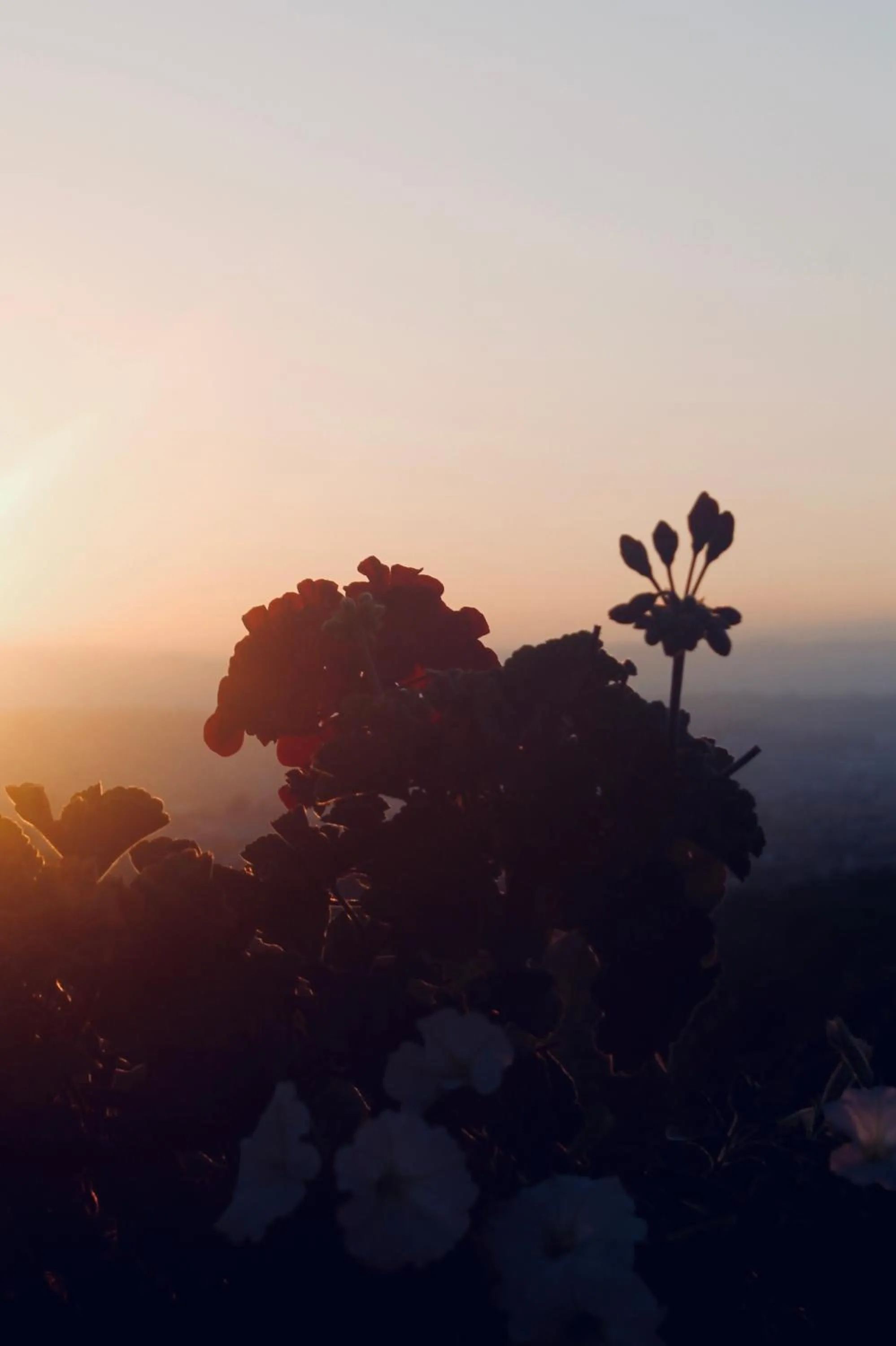 Decorative detail in Quinta da Mata - Turismo de Habitação