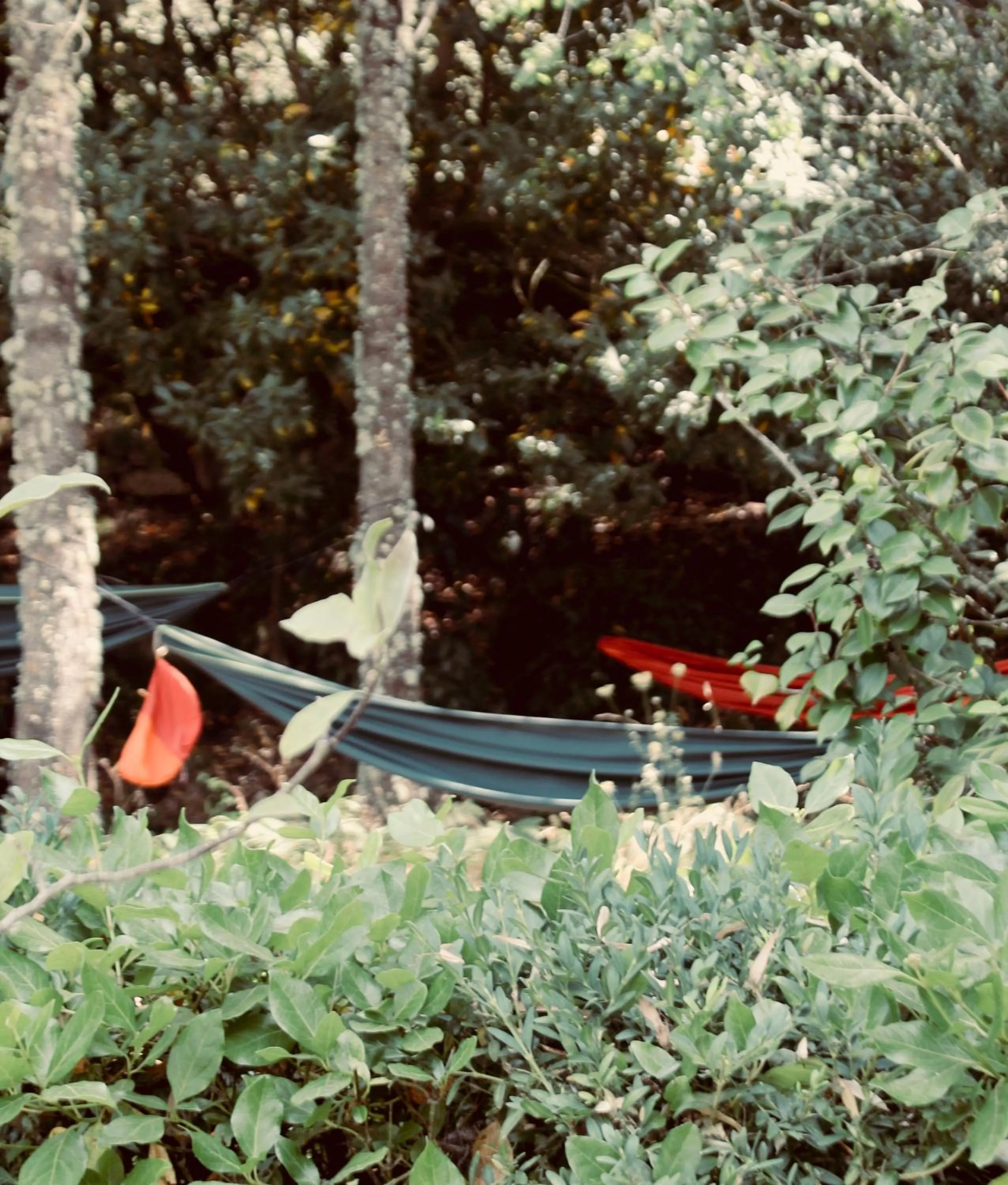 Activities in Quinta da Mata - Turismo de Habitação