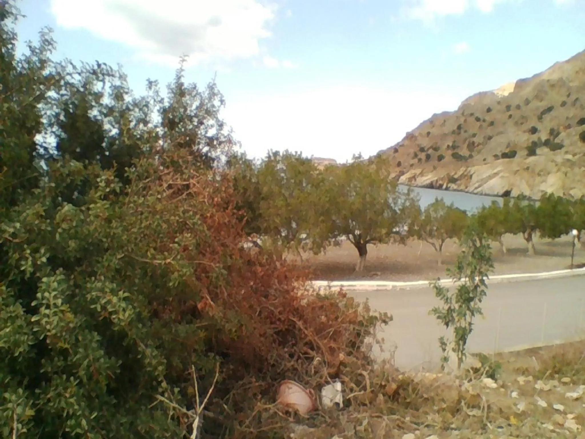 Natural landscape in Apollon