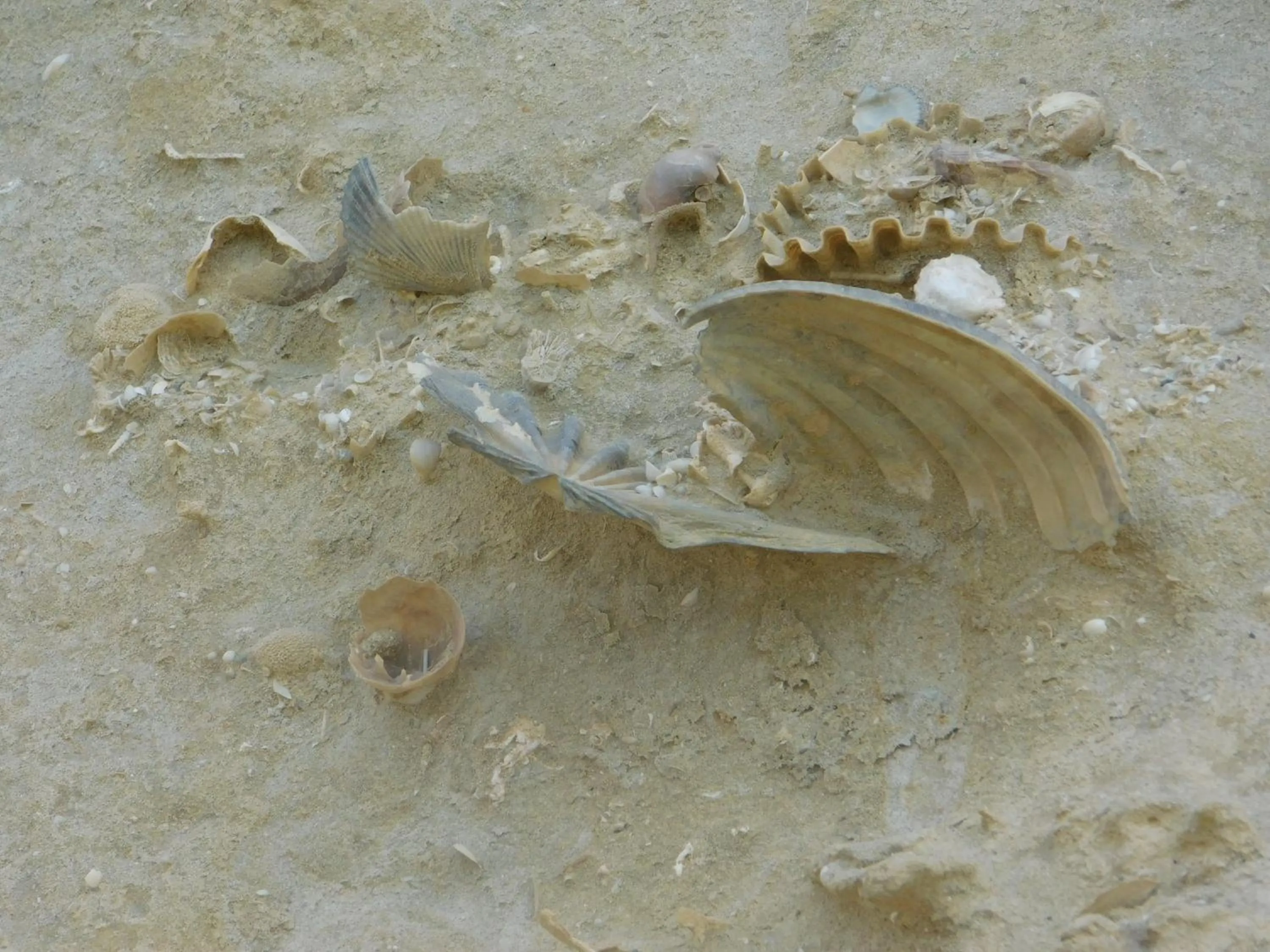 Natural landscape in Apollon