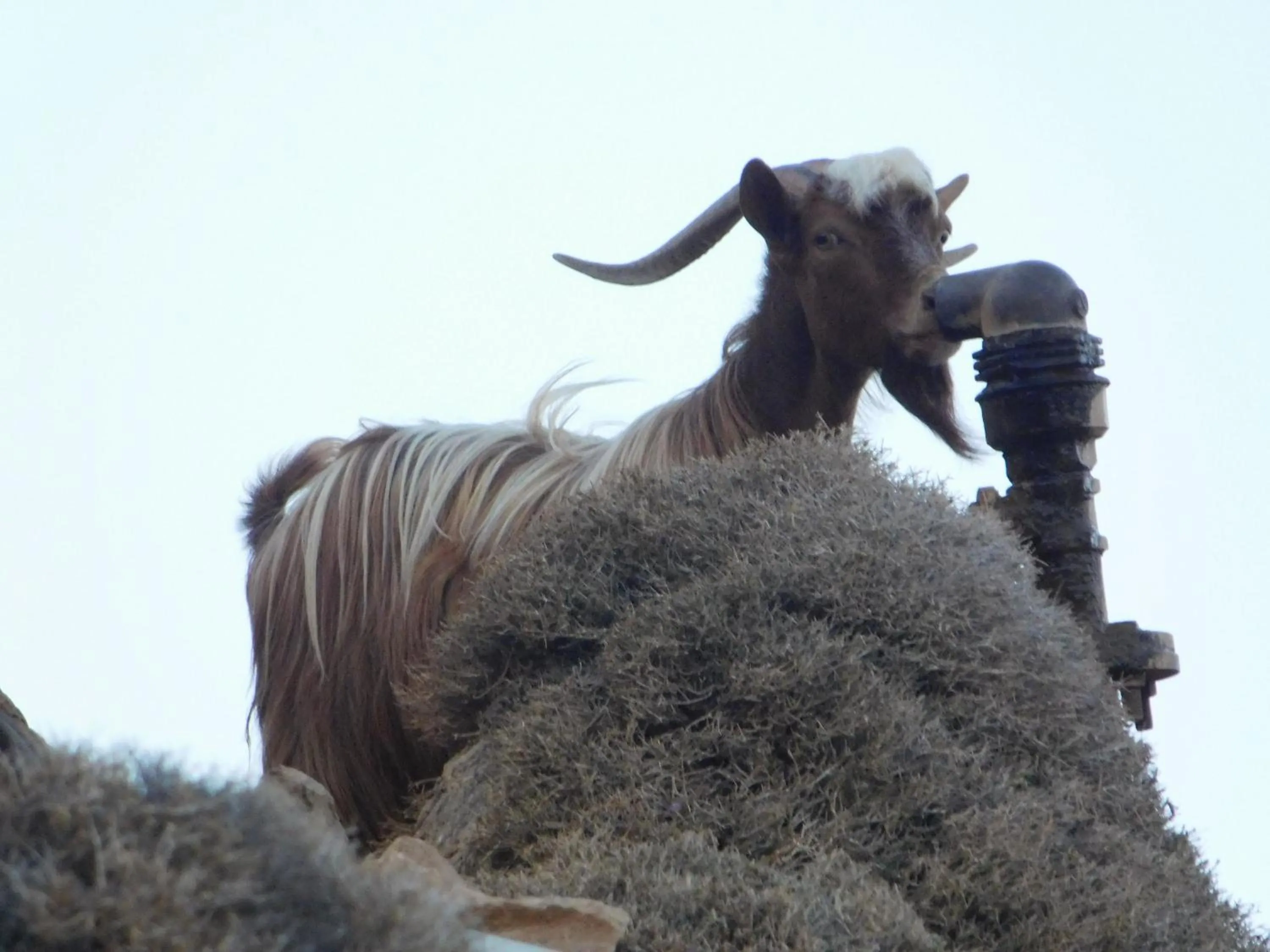 Natural landscape in Apollon