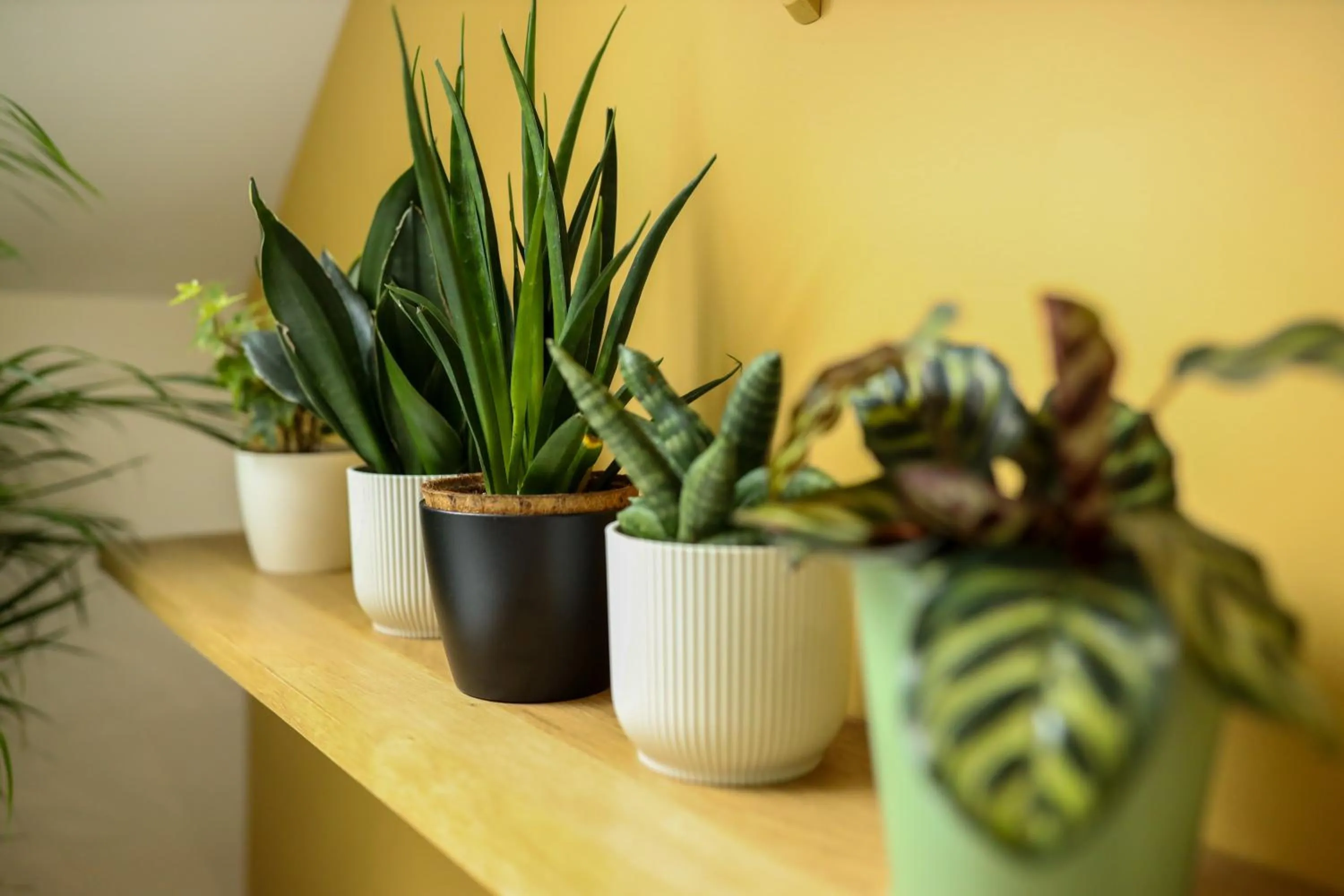 Bathroom in Villa de la Croix - Maison d'hôtes à 4 minutes de l'A26 avec parking