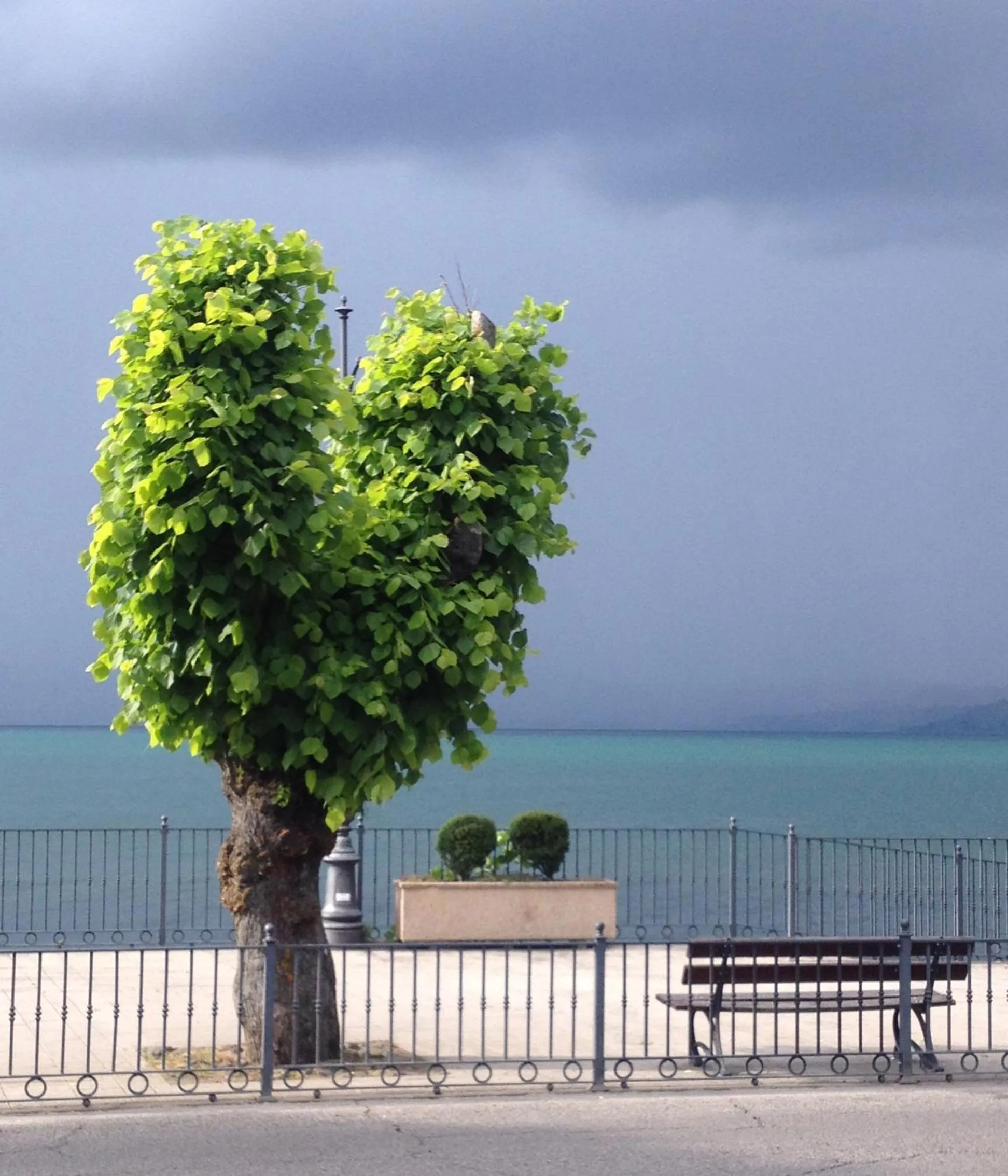 Other in Al Vicolo dei Pescatori