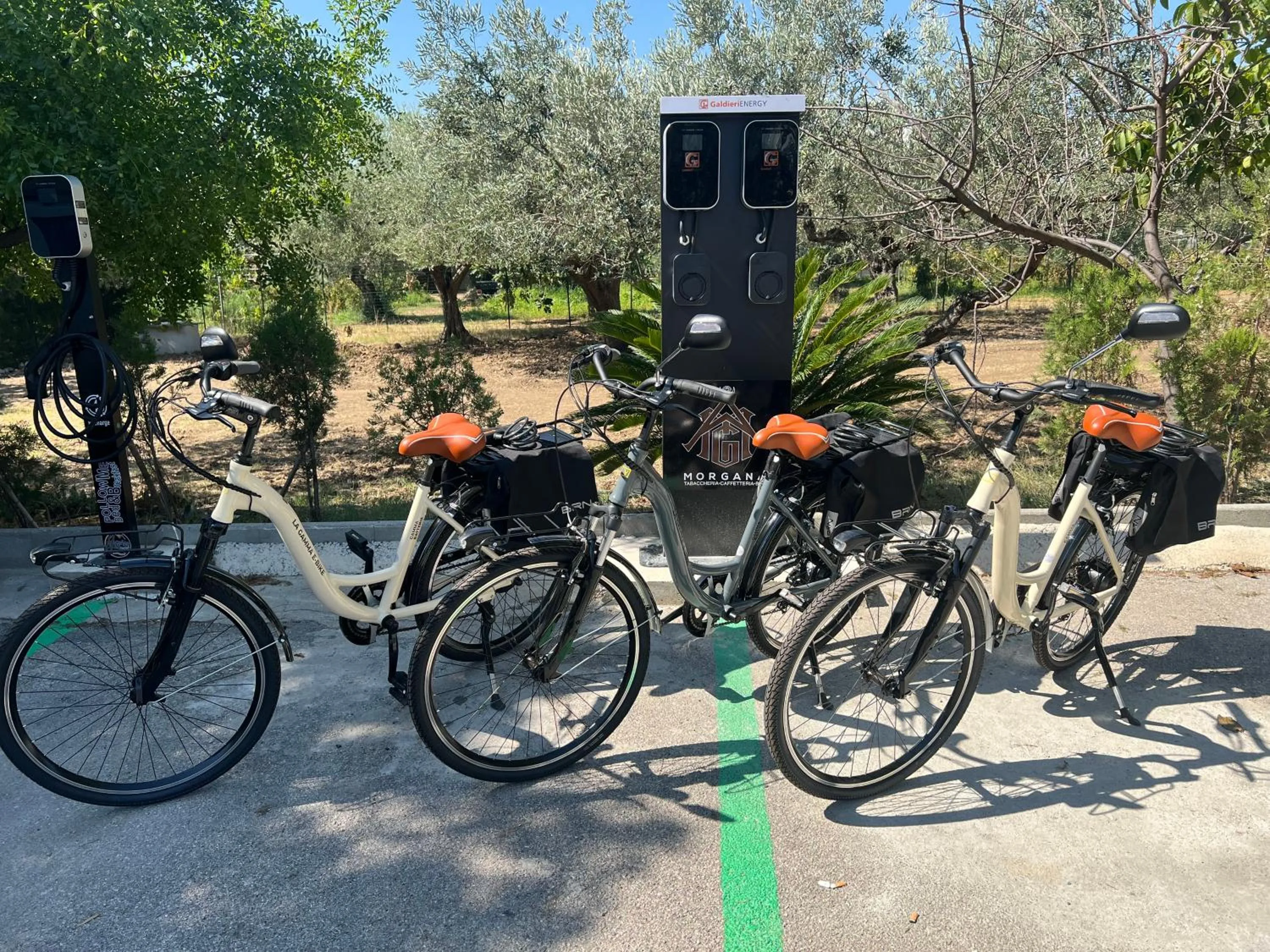 Cycling in Follow Me B&B