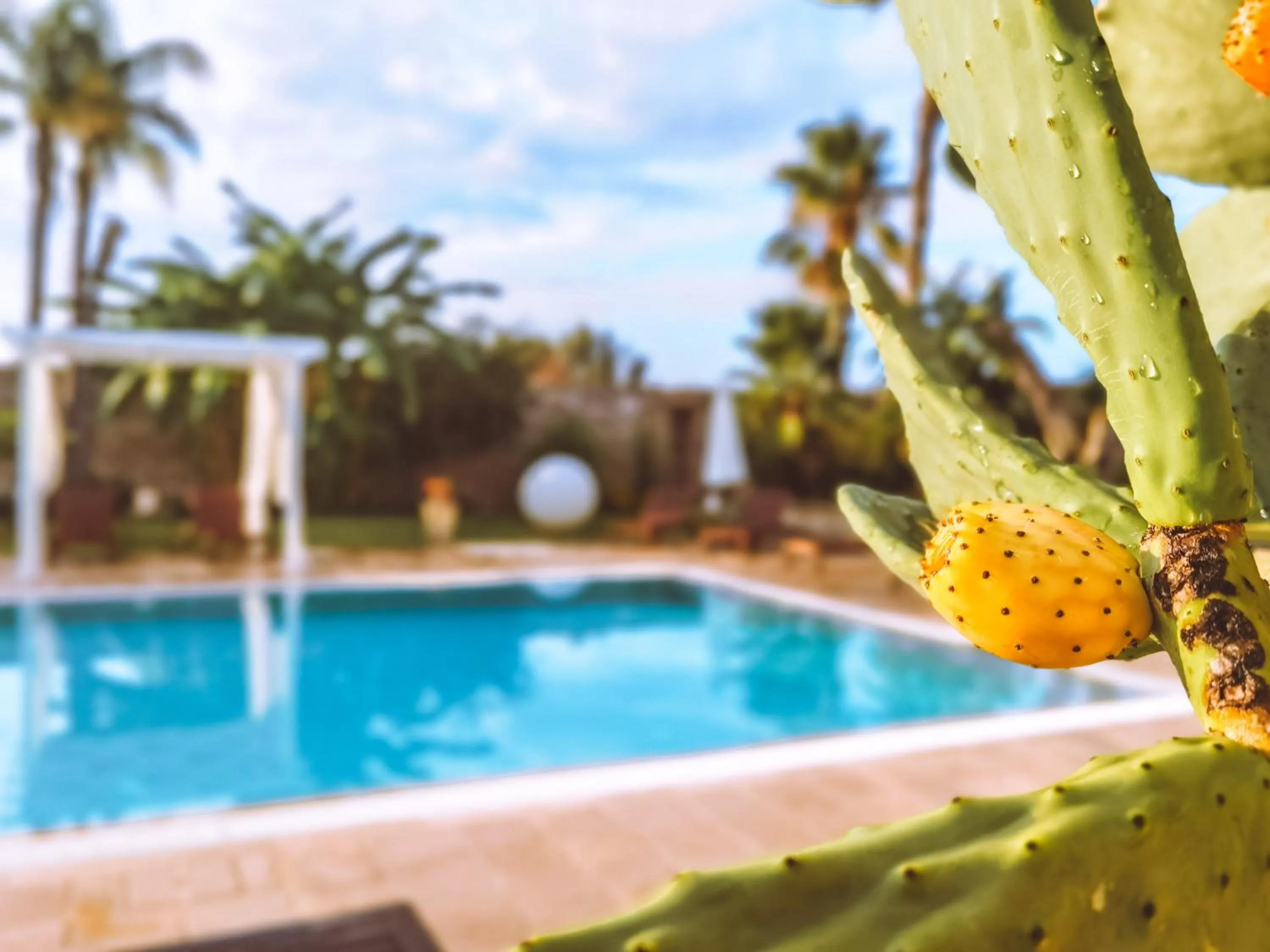 Garden in Don Agostino Relais Masseria