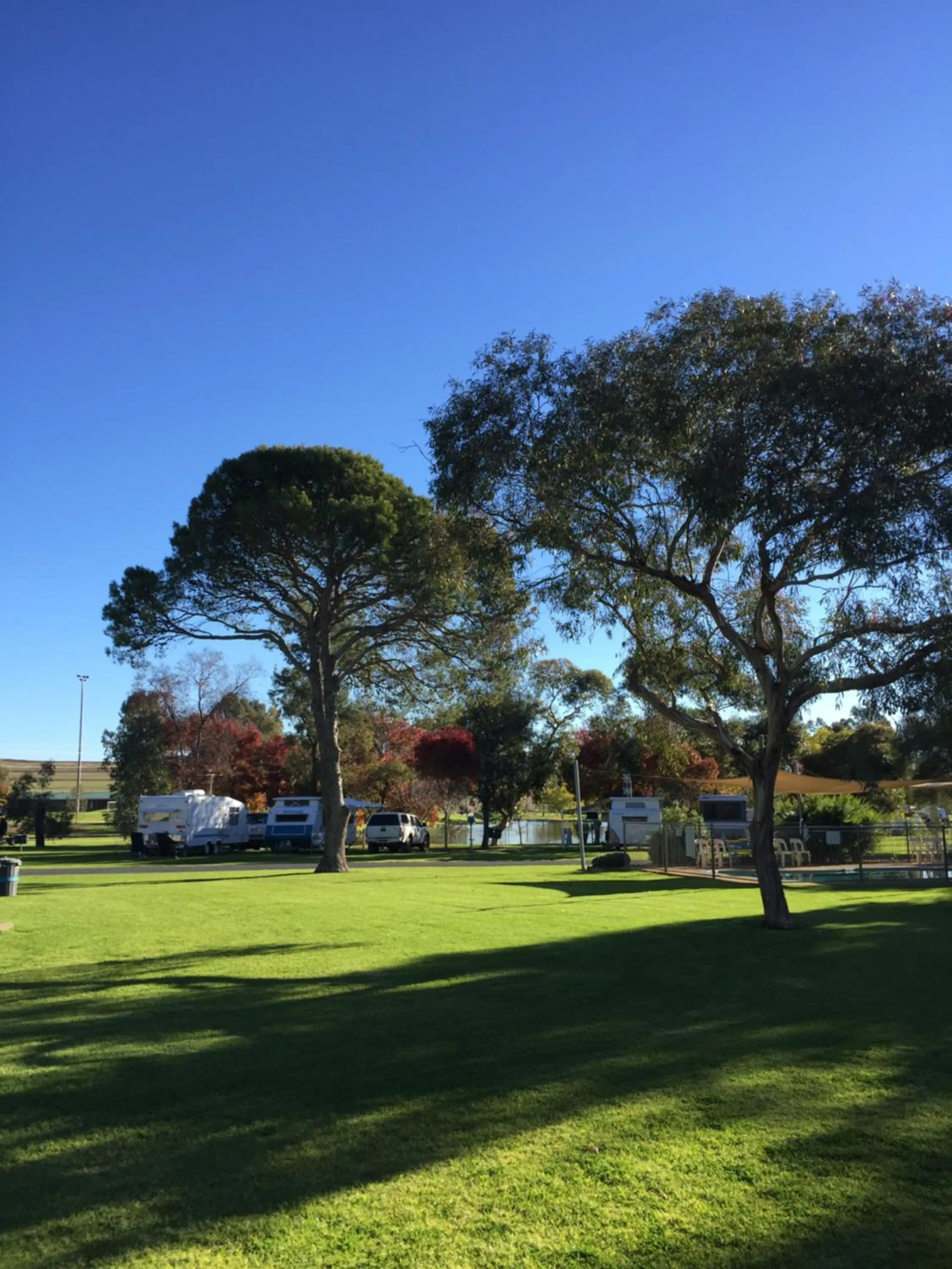 Natural landscape in Junee Tourist Park