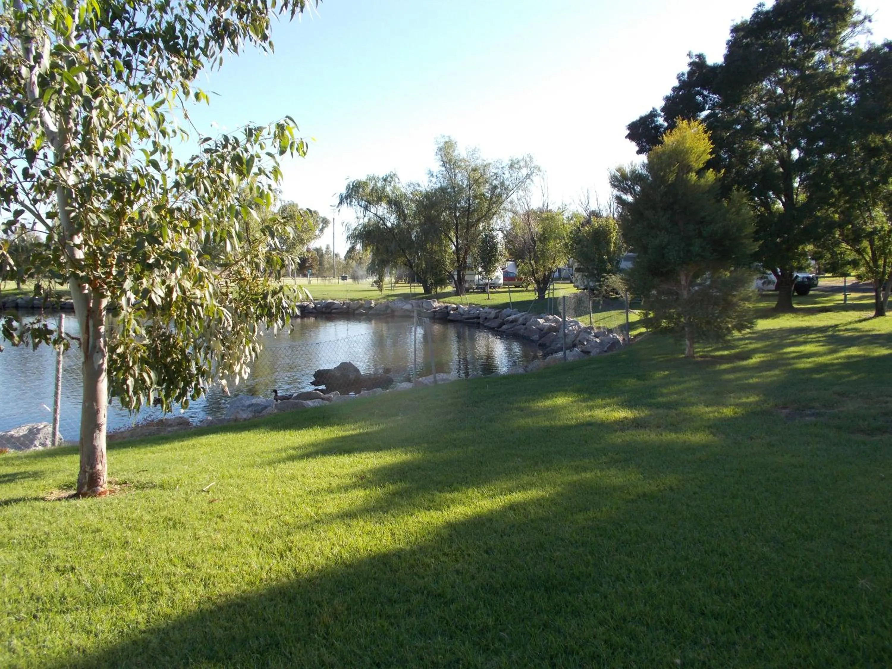 Natural landscape in Junee Tourist Park