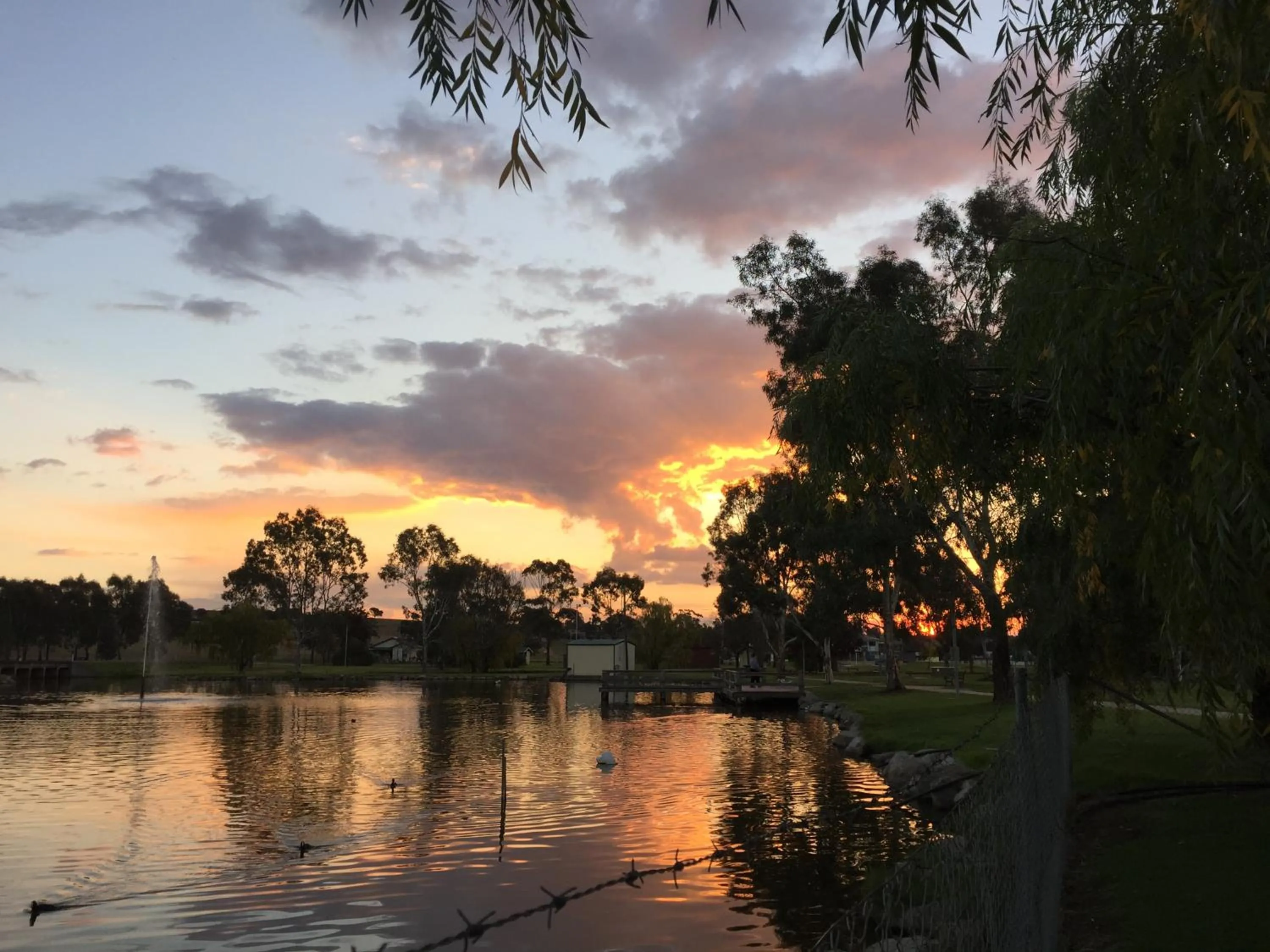 Lake view in Junee Tourist Park