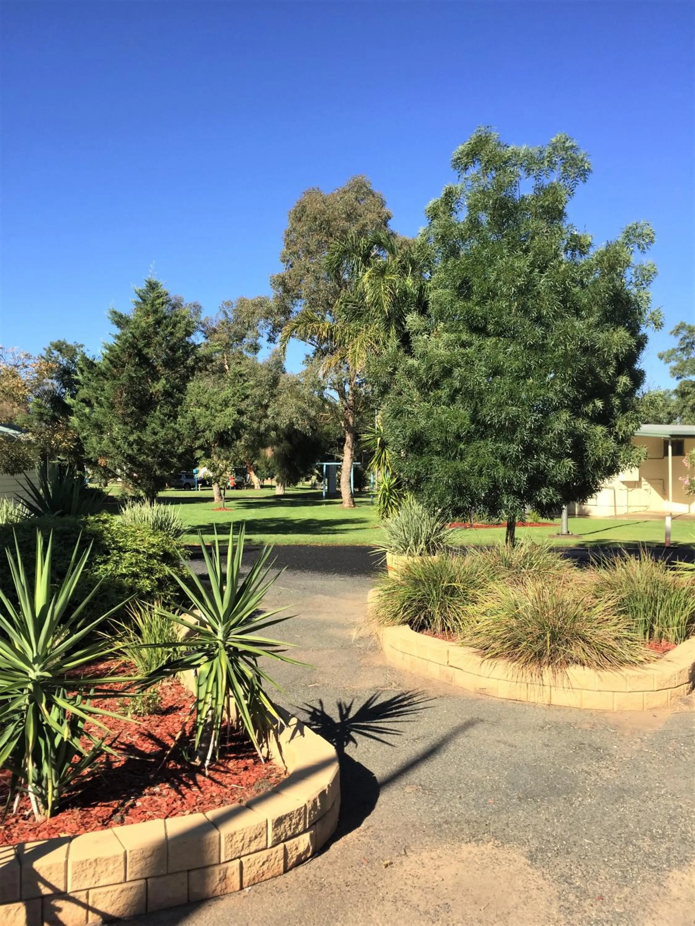Garden in Junee Tourist Park