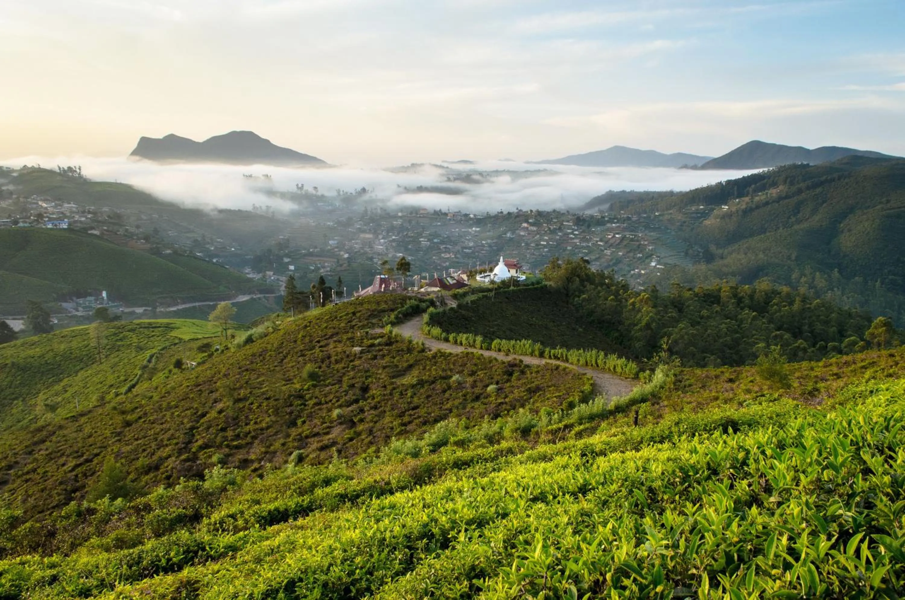 Nearby landmark in Hill Pride City Hotel