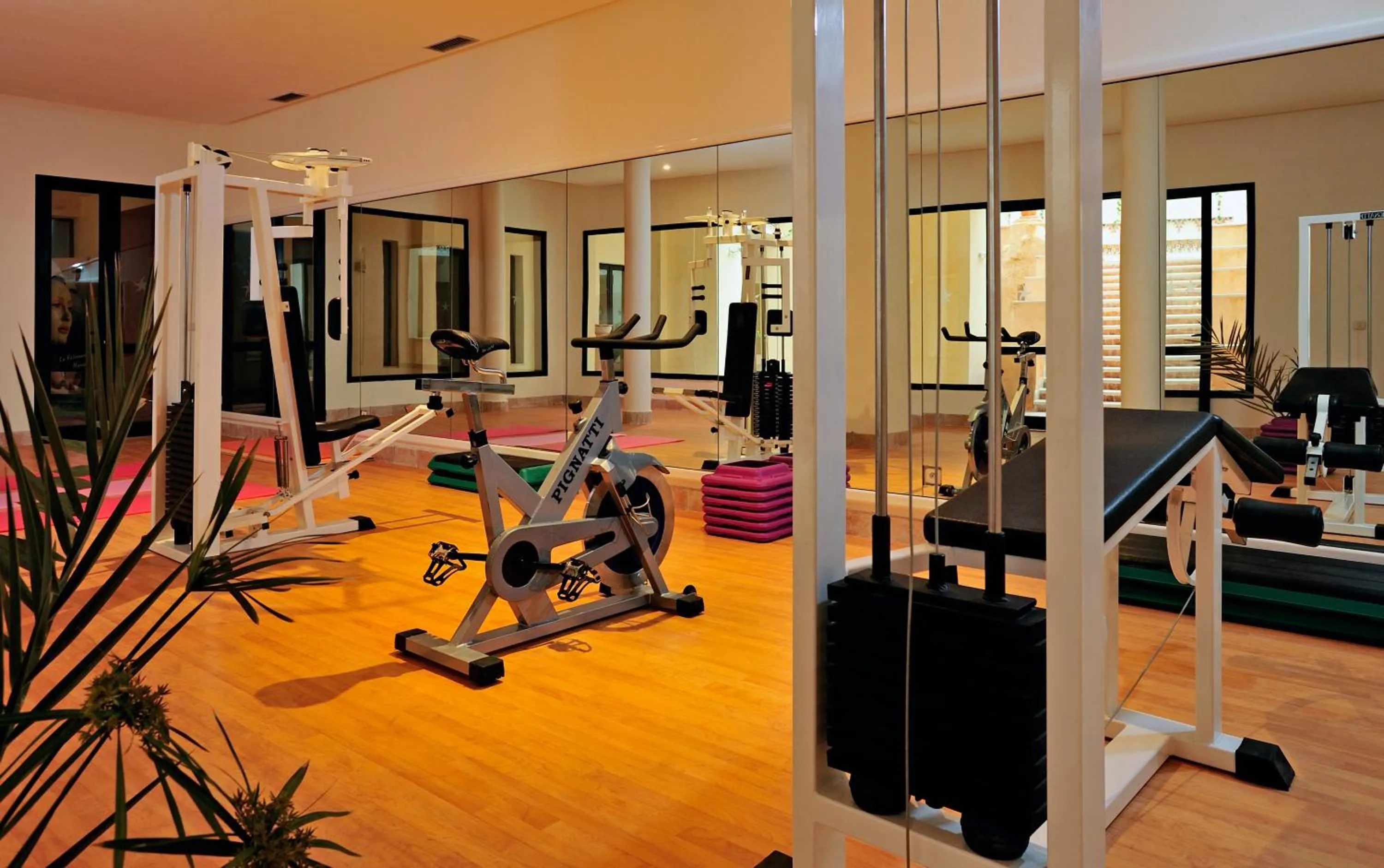 Fitness centre/facilities in Vincci Safira Palms