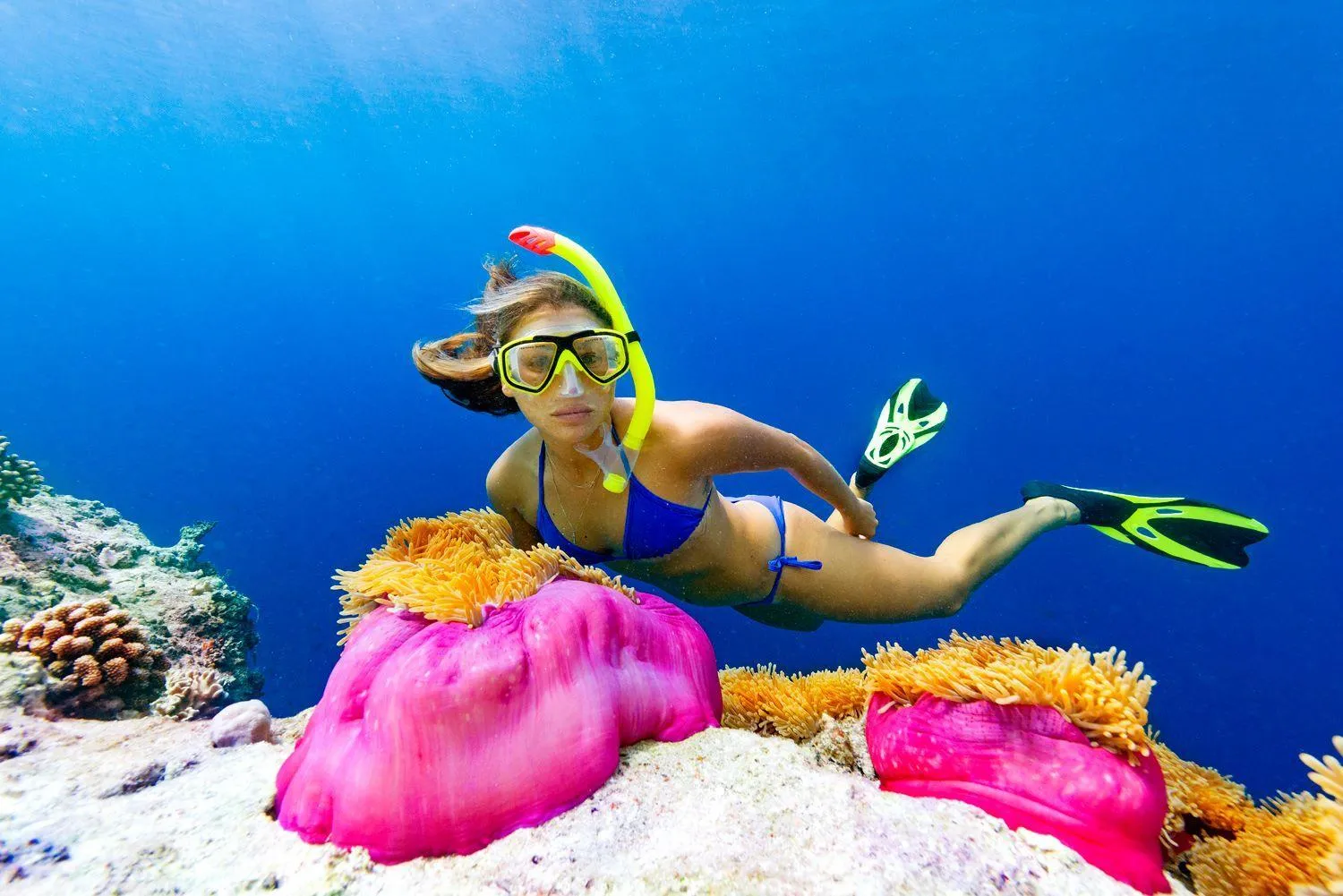 Snorkeling in Cocoon Maldives - All Inclusive