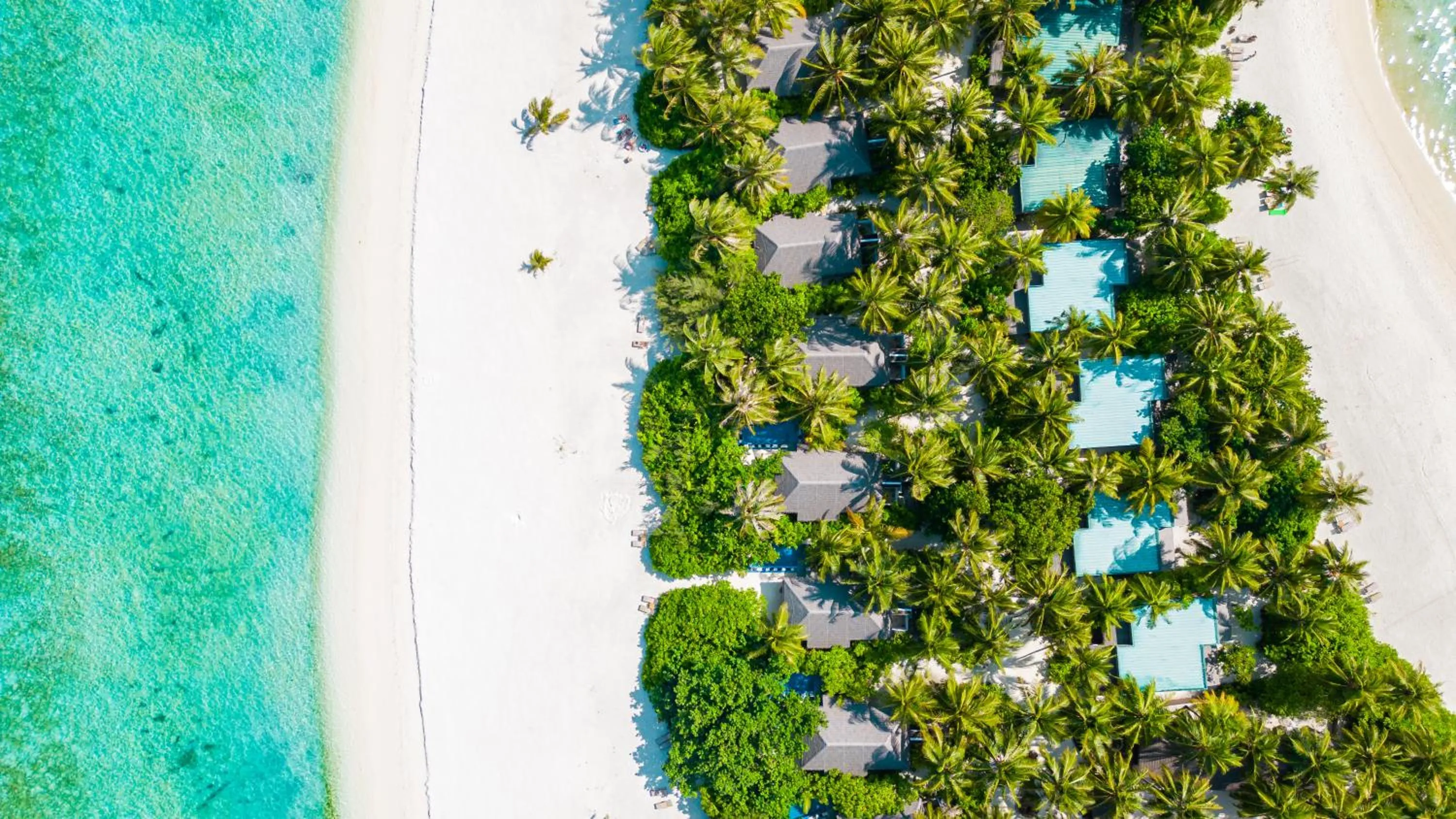 Garden in Cocoon Maldives - All Inclusive