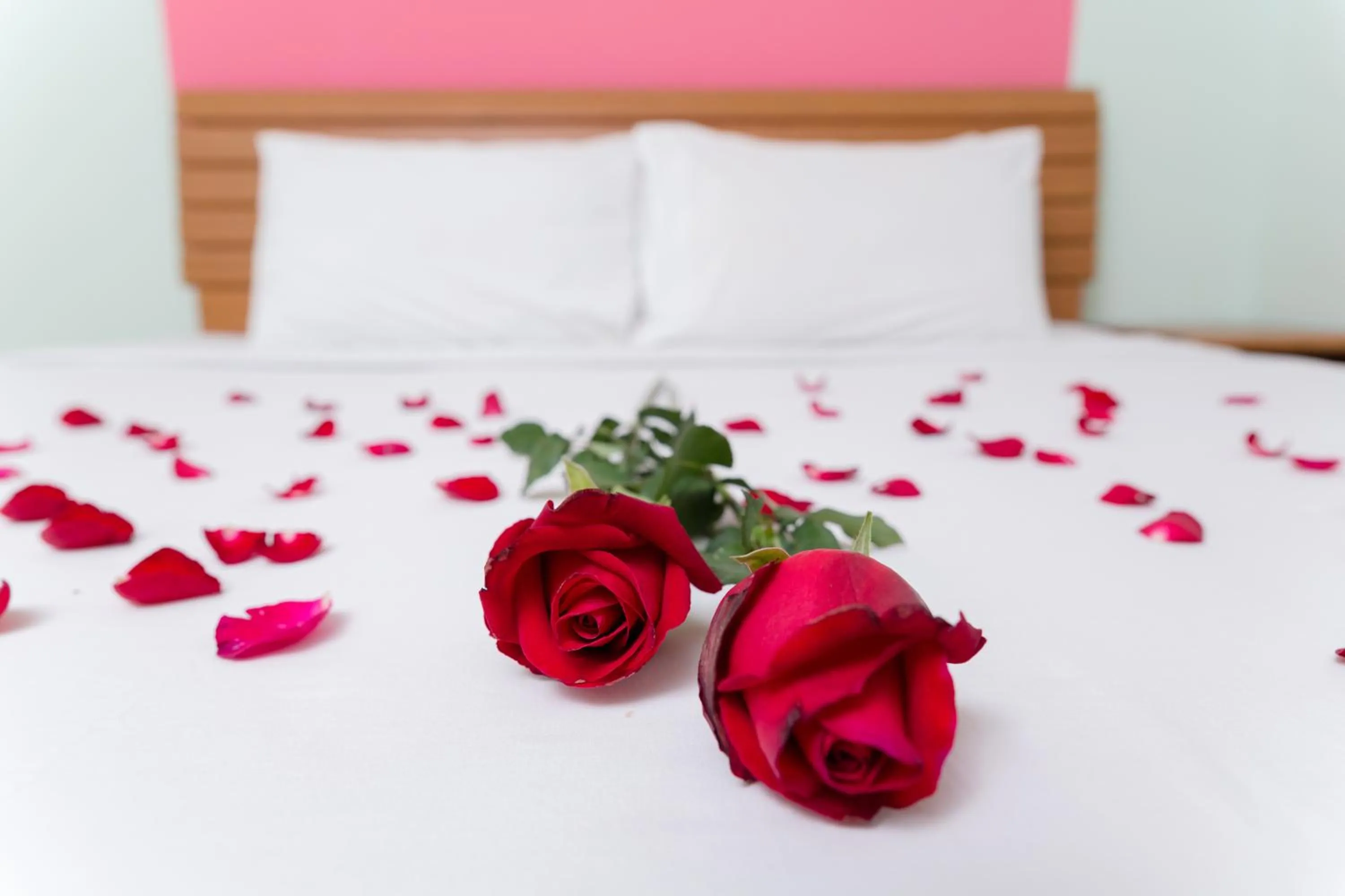 Bed in The Garden Place Bangkok