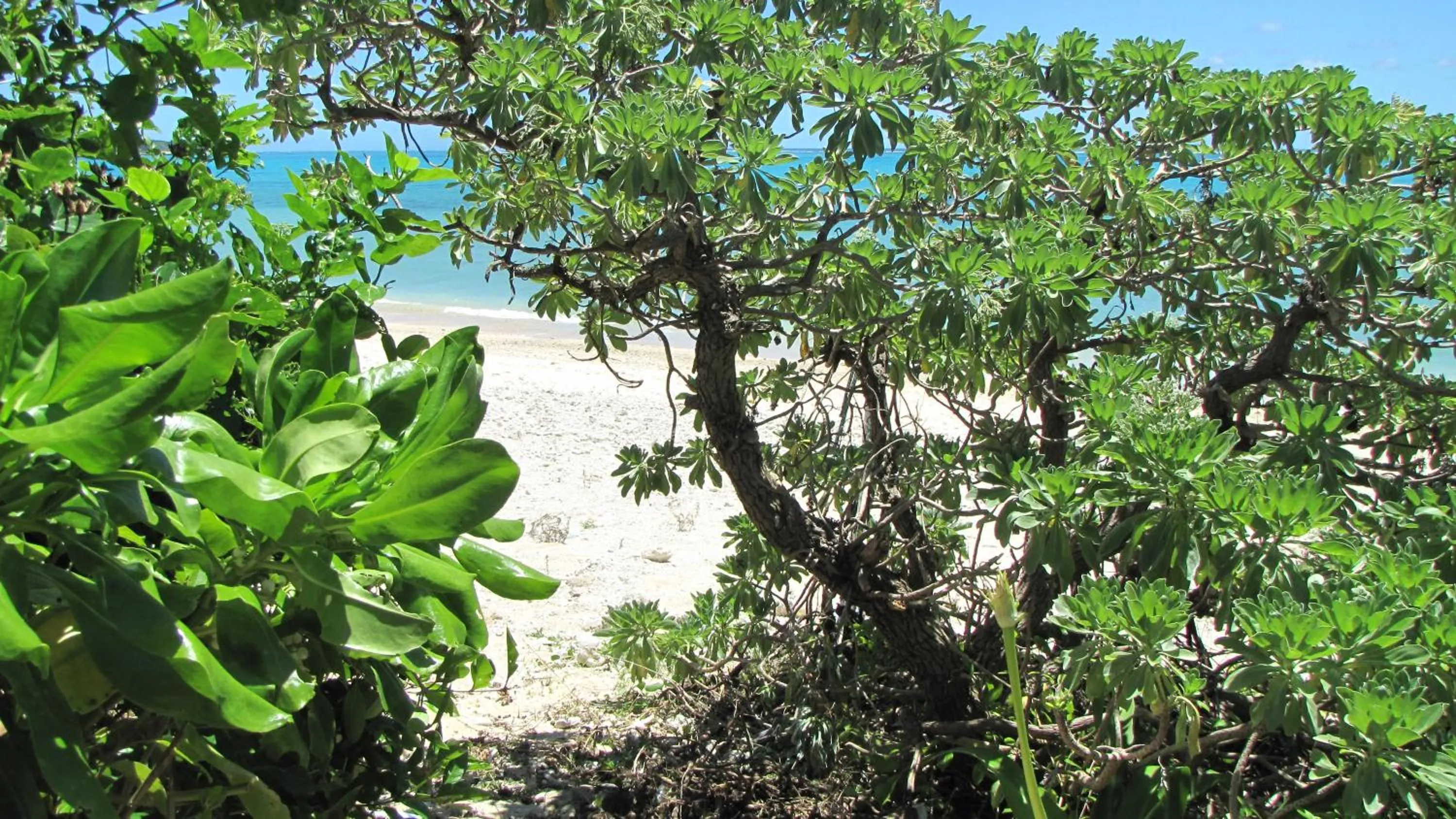 Beach in Nata Beach Villa