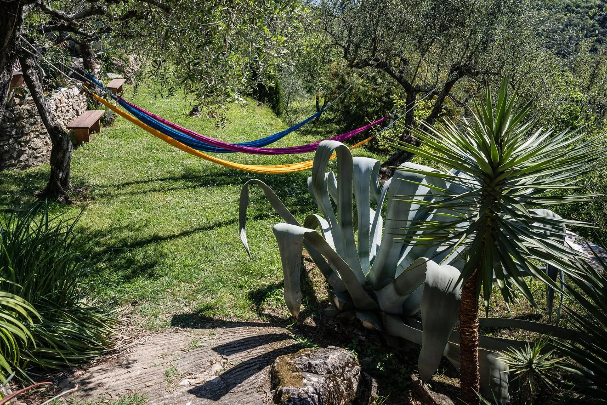 La Fattoria di Nonna Eugenia