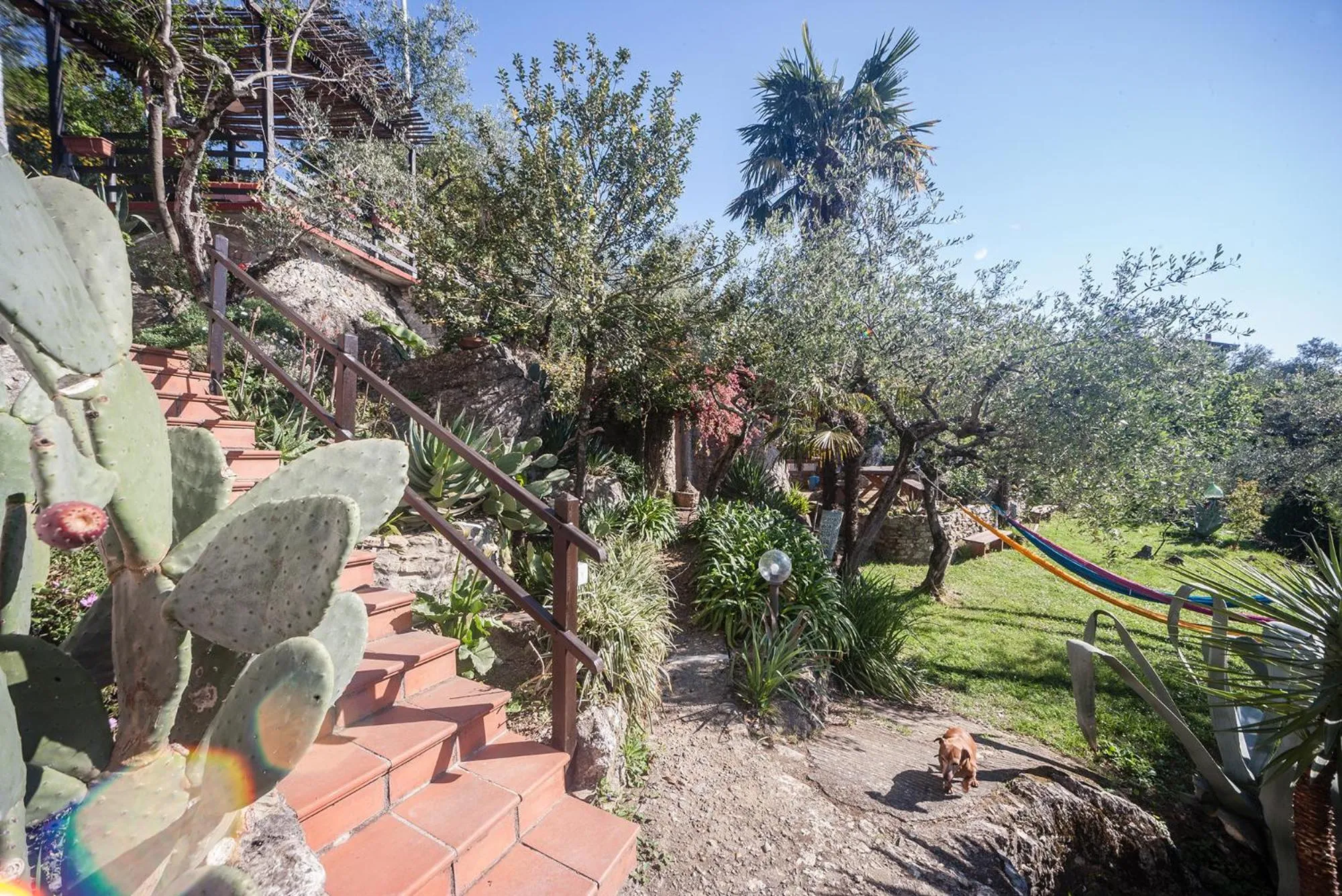 La Fattoria di Nonna Eugenia