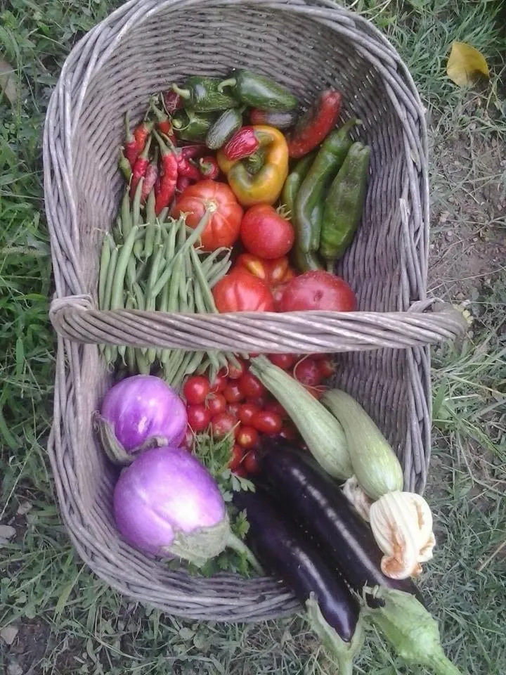 Garden in La Fattoria di Nonna Eugenia