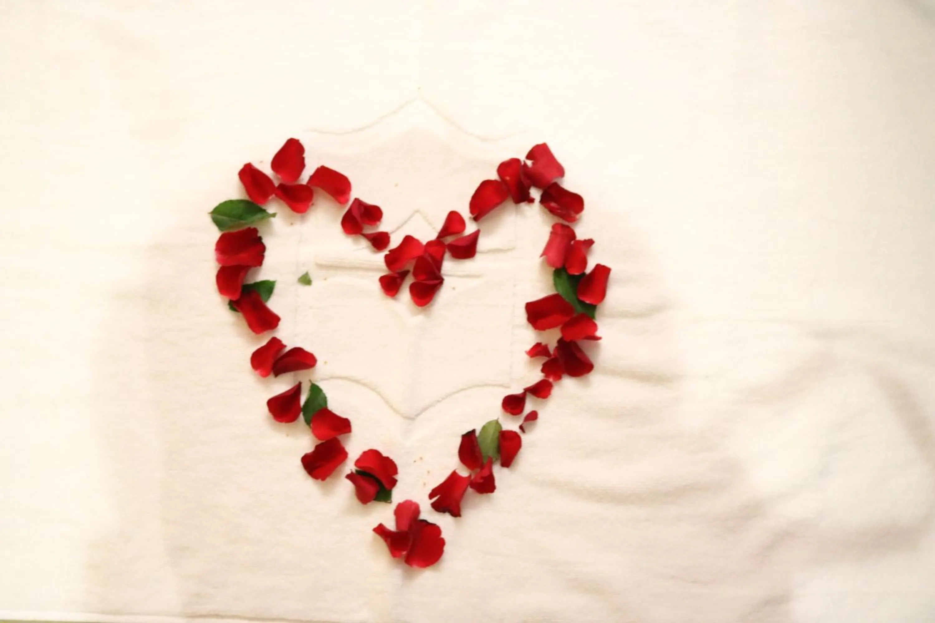 Decorative detail in Pulickal Airport Hotel