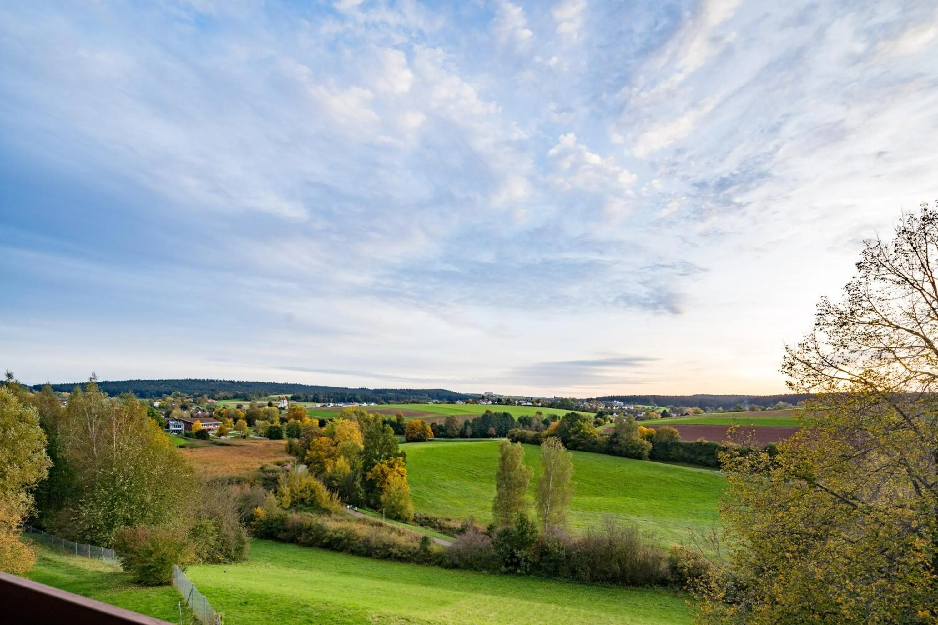 View (from property/room) in Hotel-Resort Waldachtal - Adults only