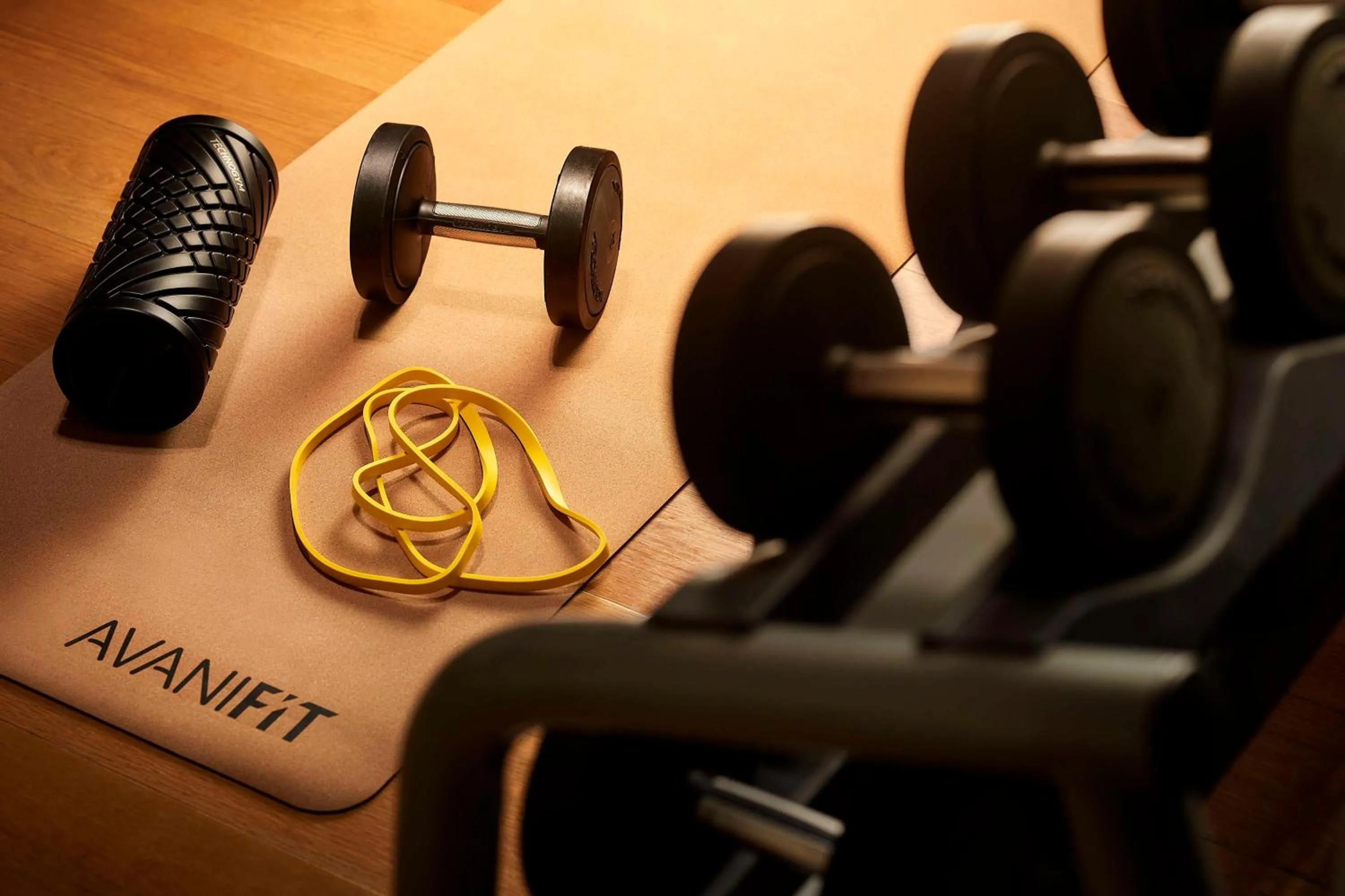 Fitness centre/facilities in Avani Palazzo Moscova Milan Hotel